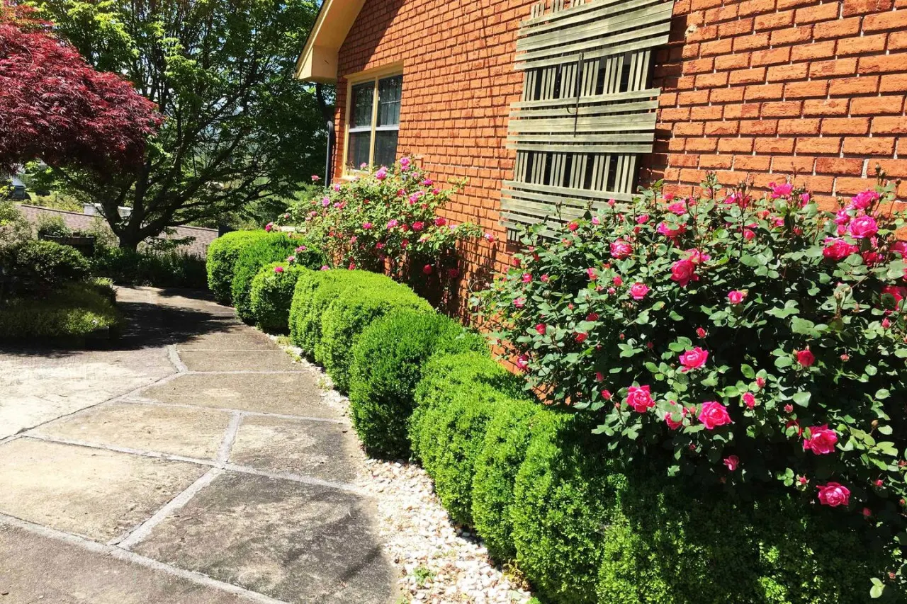 SecretGardenGetaway: Asheville; Great Smokey Mtns 20