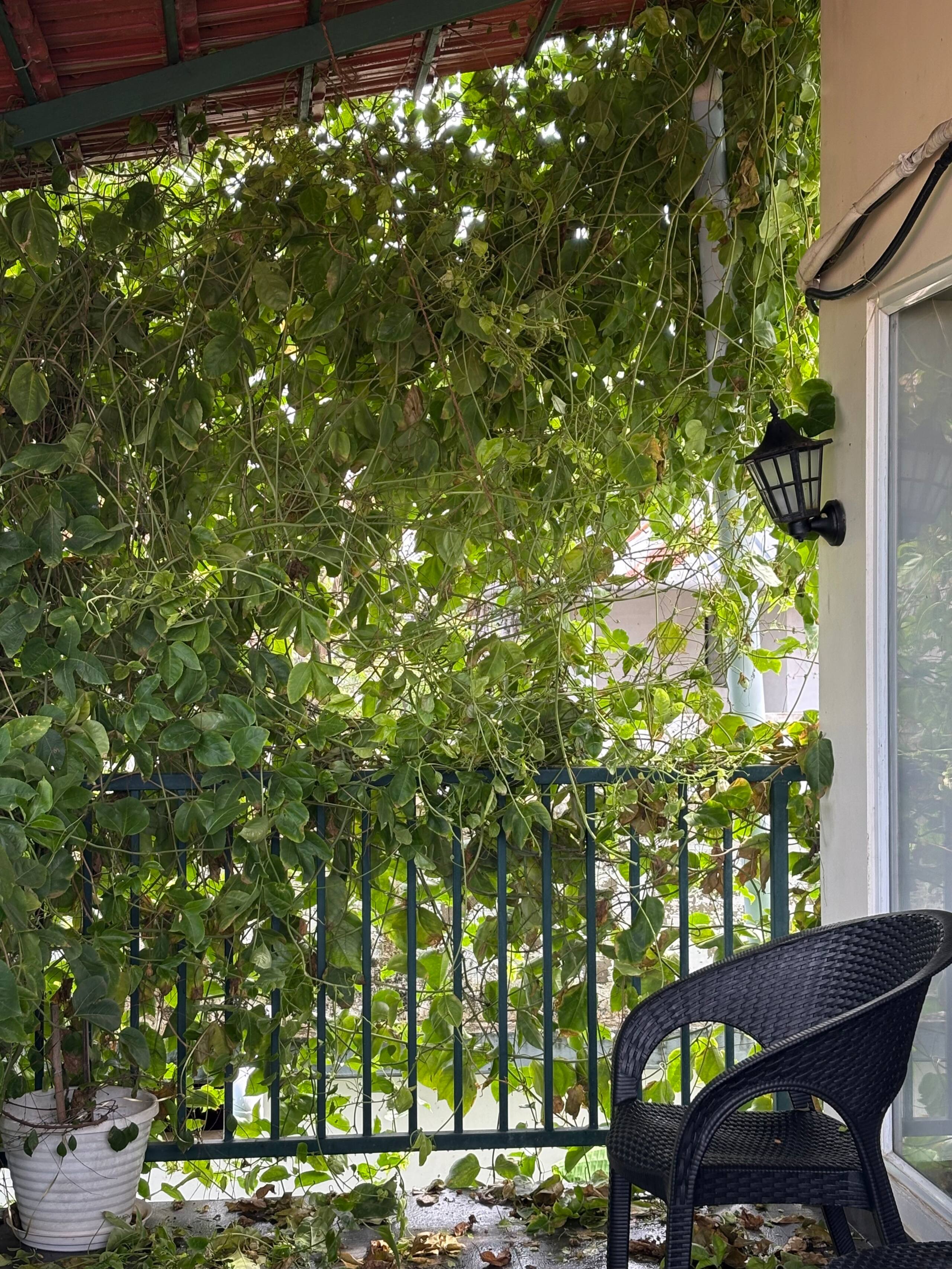 Summersong Beachvilla-2BHK-Private House 32