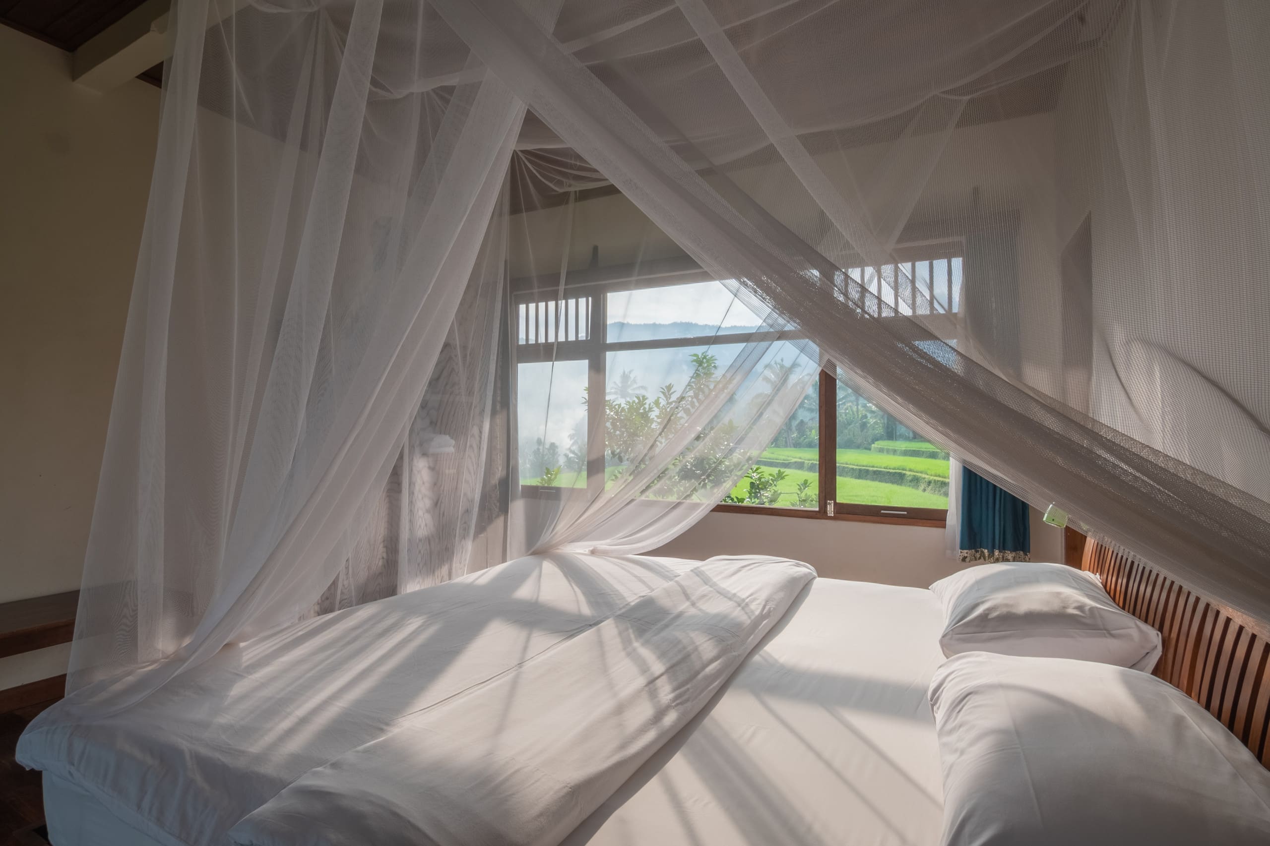 Lesong Hotel and Restaurant 9