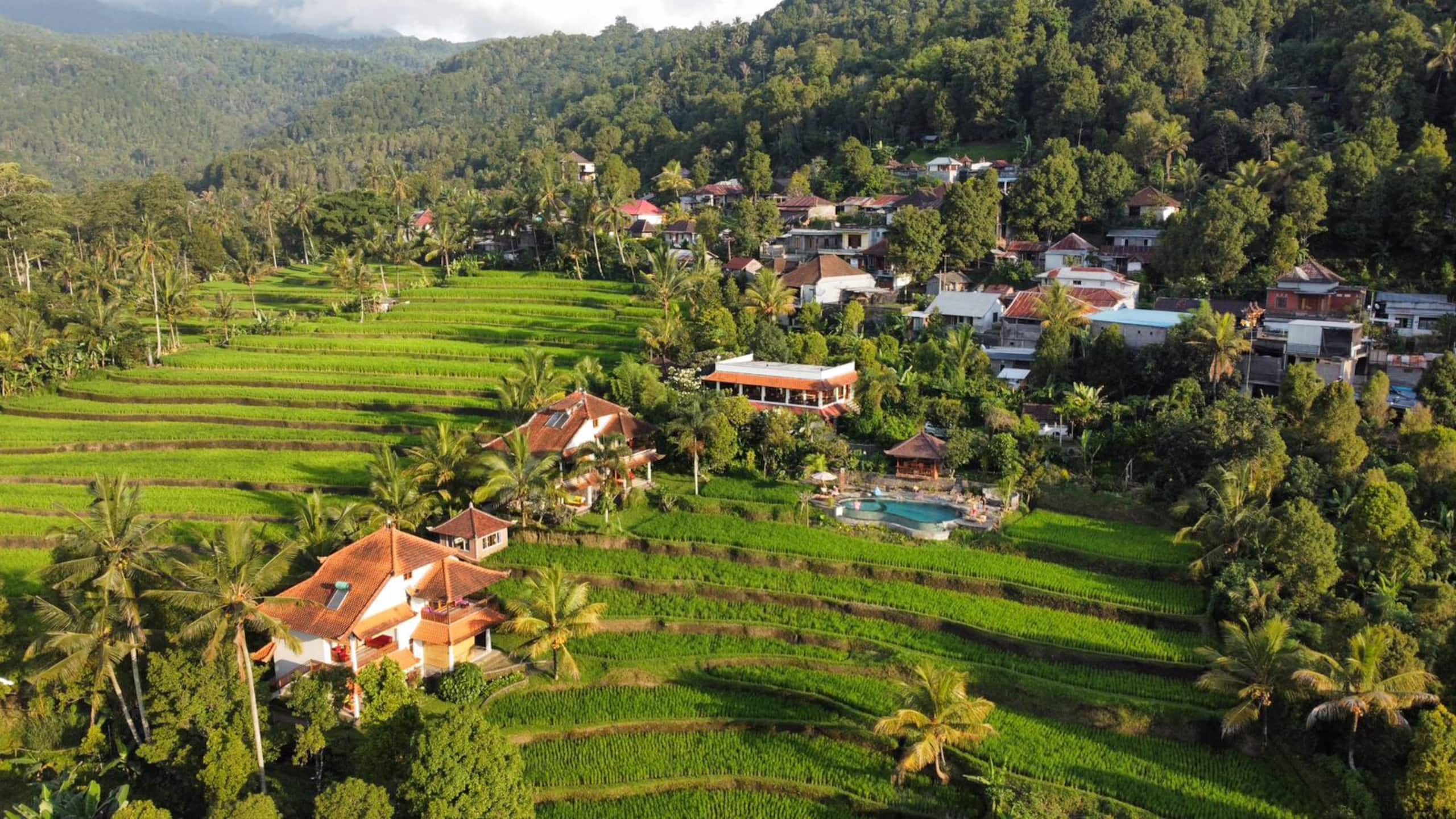Lesong Hotel and Restaurant 8