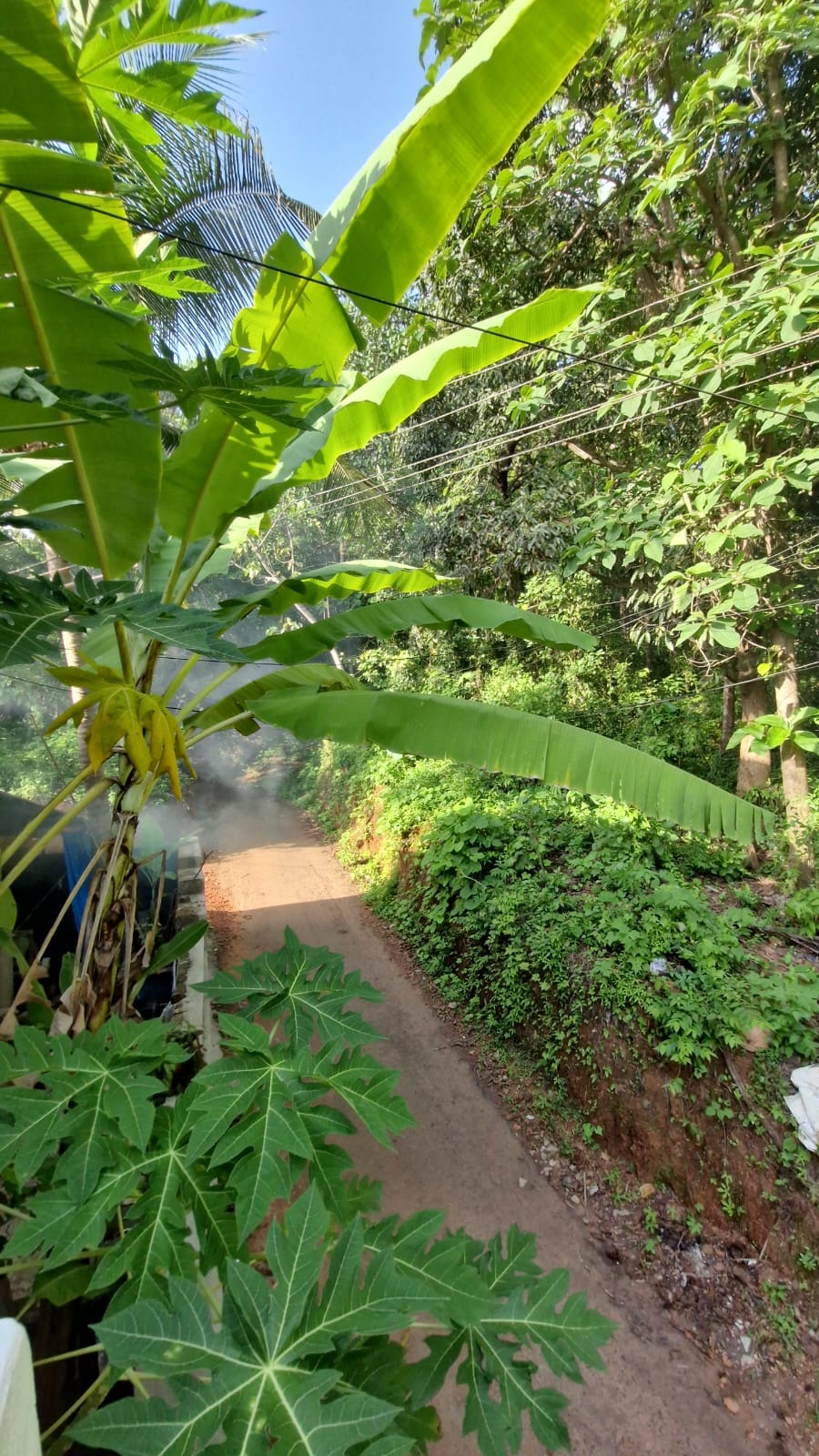 Siya Van by Janki’s Hideout Near Palolem 3
