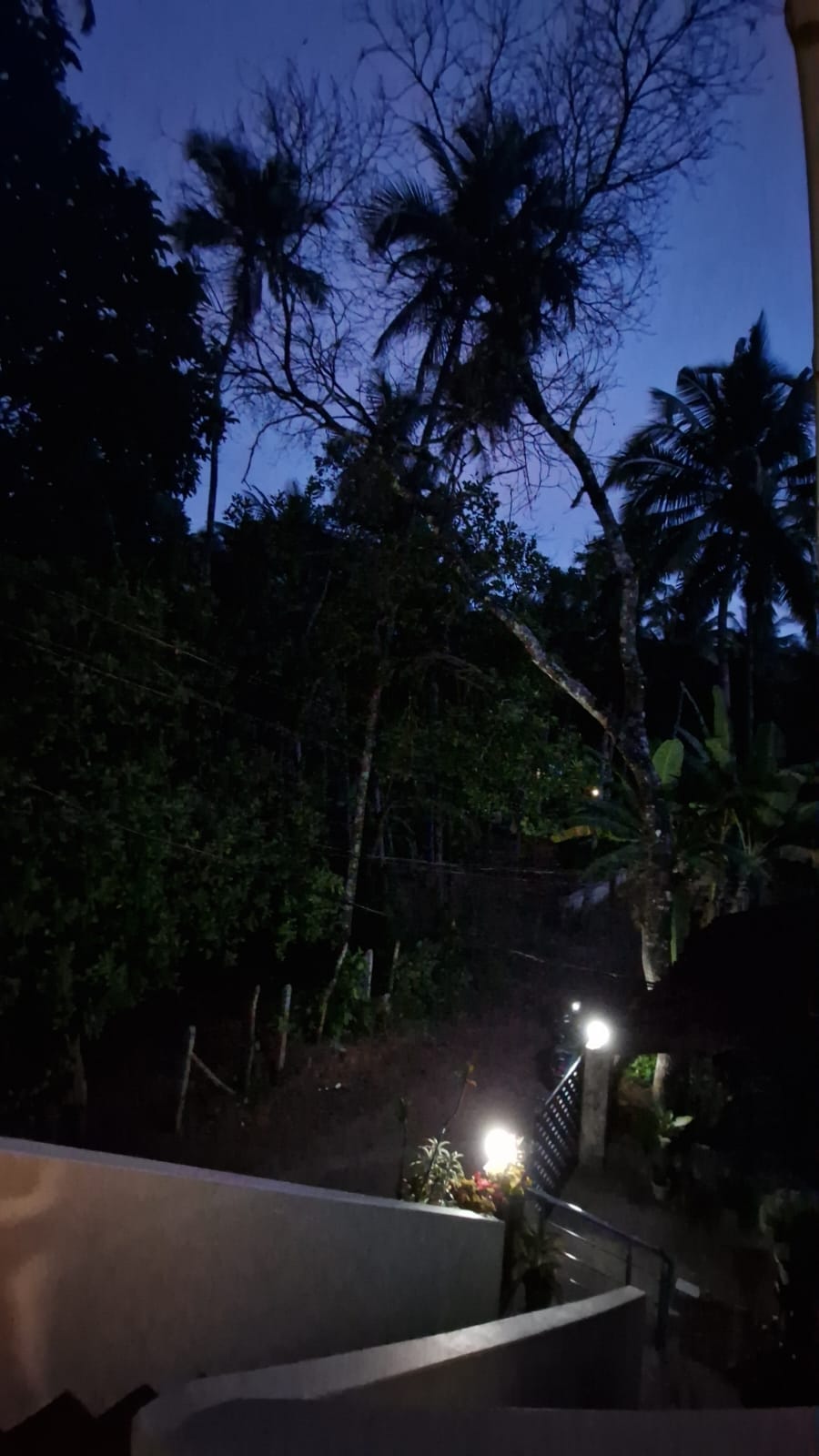 Siya Van by Janki’s Hideout Near Palolem 4