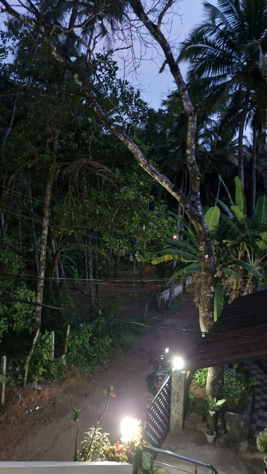 Siya Van by Janki’s Hideout Near Palolem 5