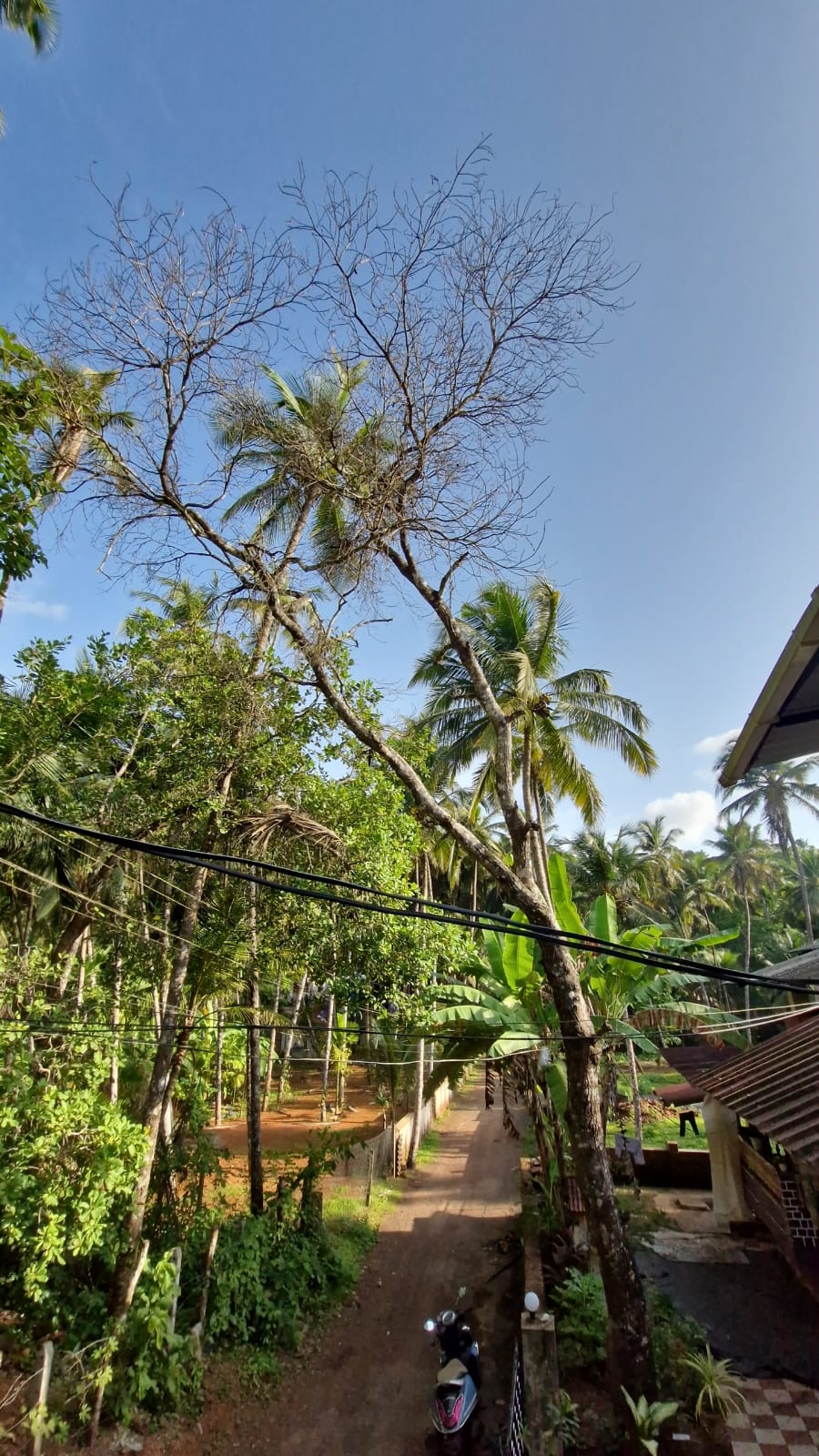 Siya Van by Janki’s Hideout Near Palolem 6