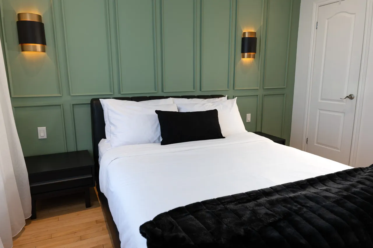 #11 - Studio/Plateau/St-Denis/SelfCheck-In/AC/TV — photo 4