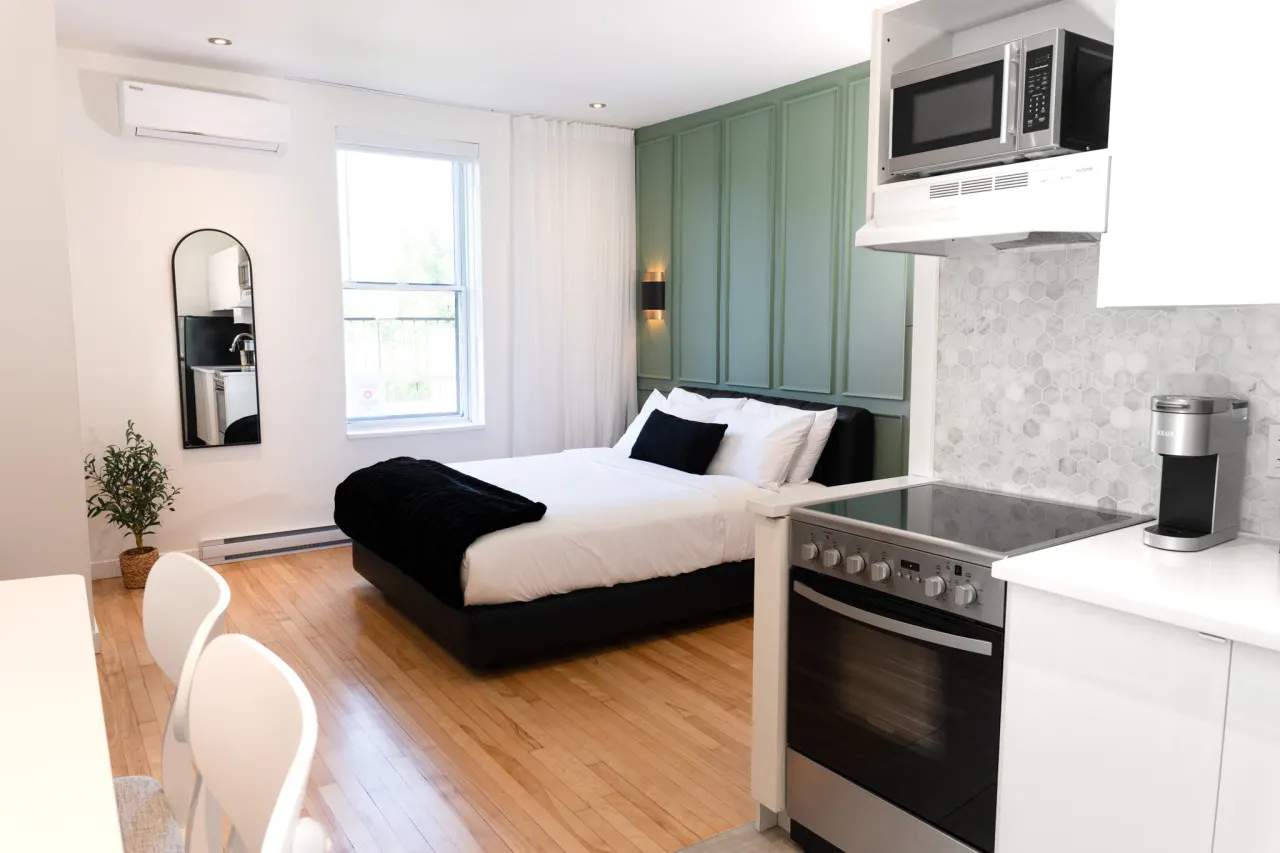 #11 - Studio/Plateau/St-Denis/SelfCheck-In/AC/TV — photo 5