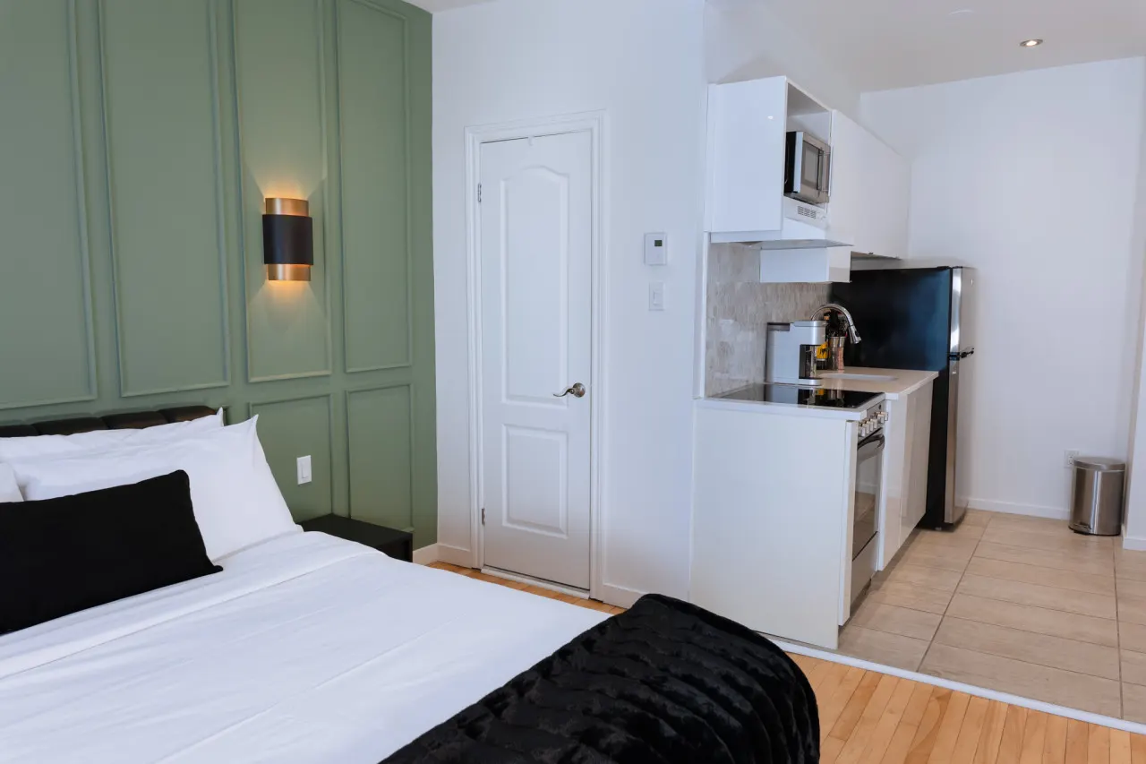 #11 - Studio/Plateau/St-Denis/SelfCheck-In/AC/TV 6