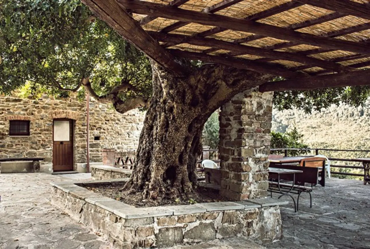 Casale storico nella campagna cilentana - App. 2 16