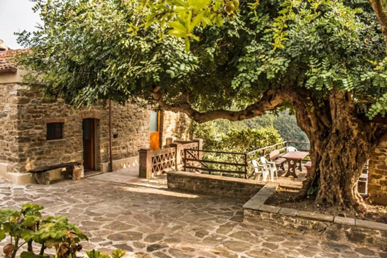 Casale storico nella campagna cilentana - App. 2 7