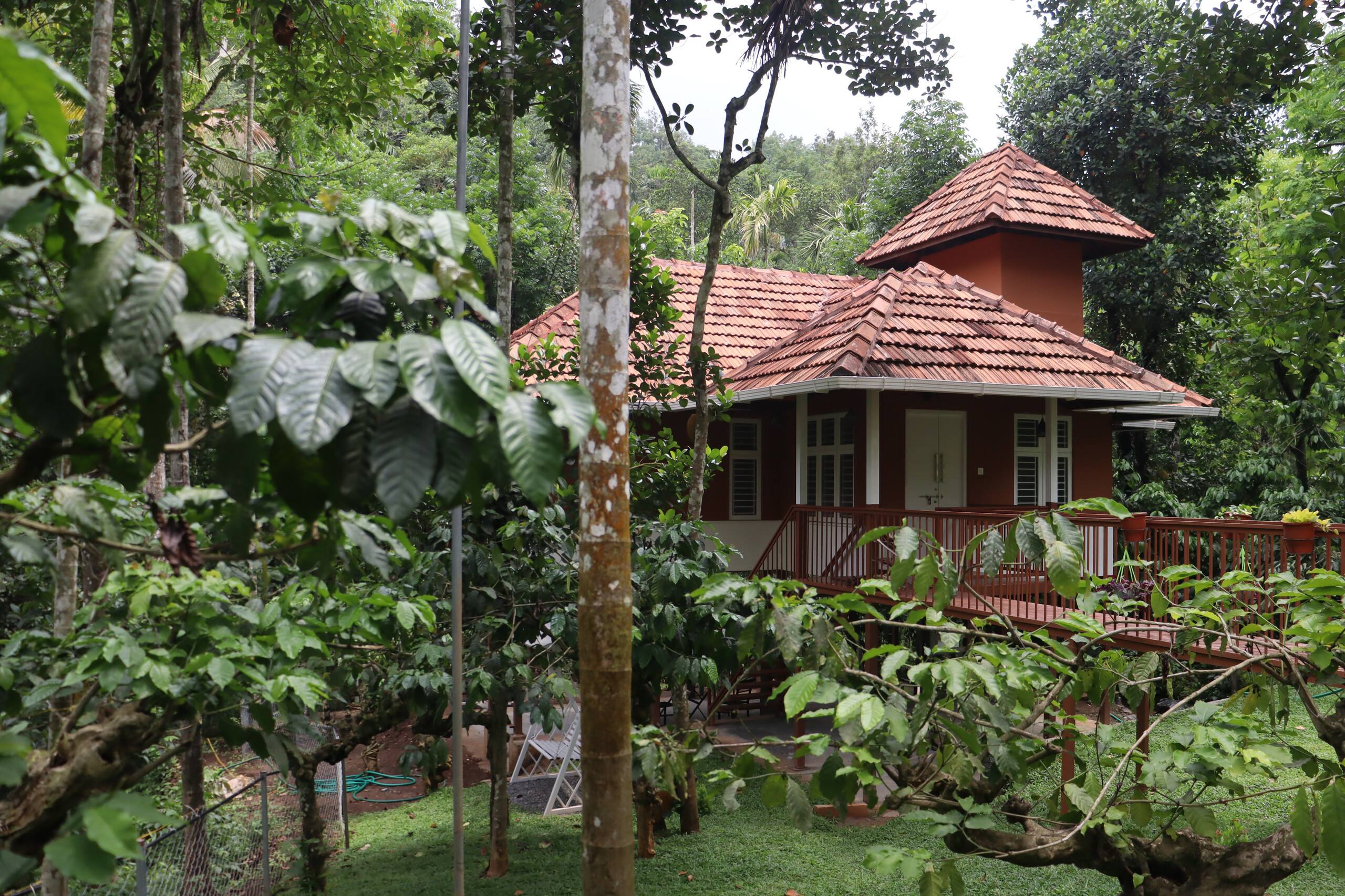 Neerthanal - Streamside Nature Stay at Wayanad 33