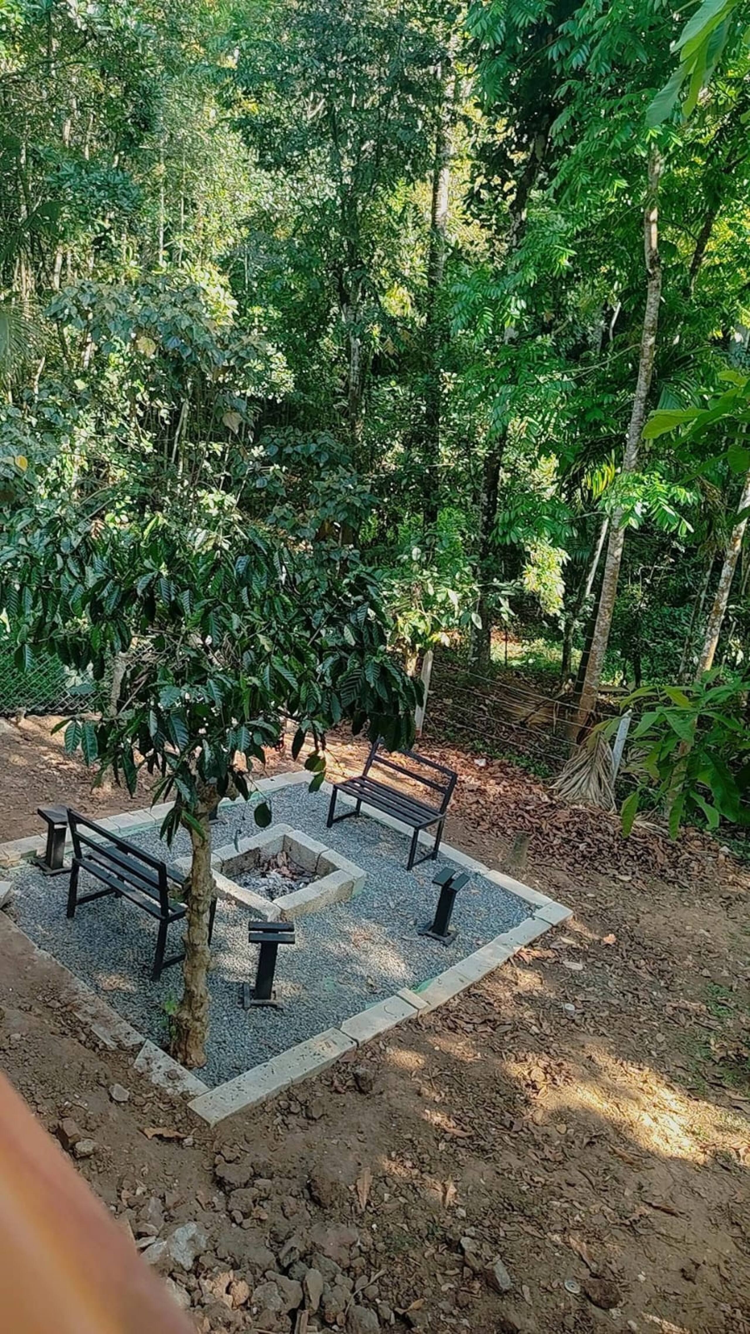 Neerthanal - Streamside Nature Stay at Wayanad 27