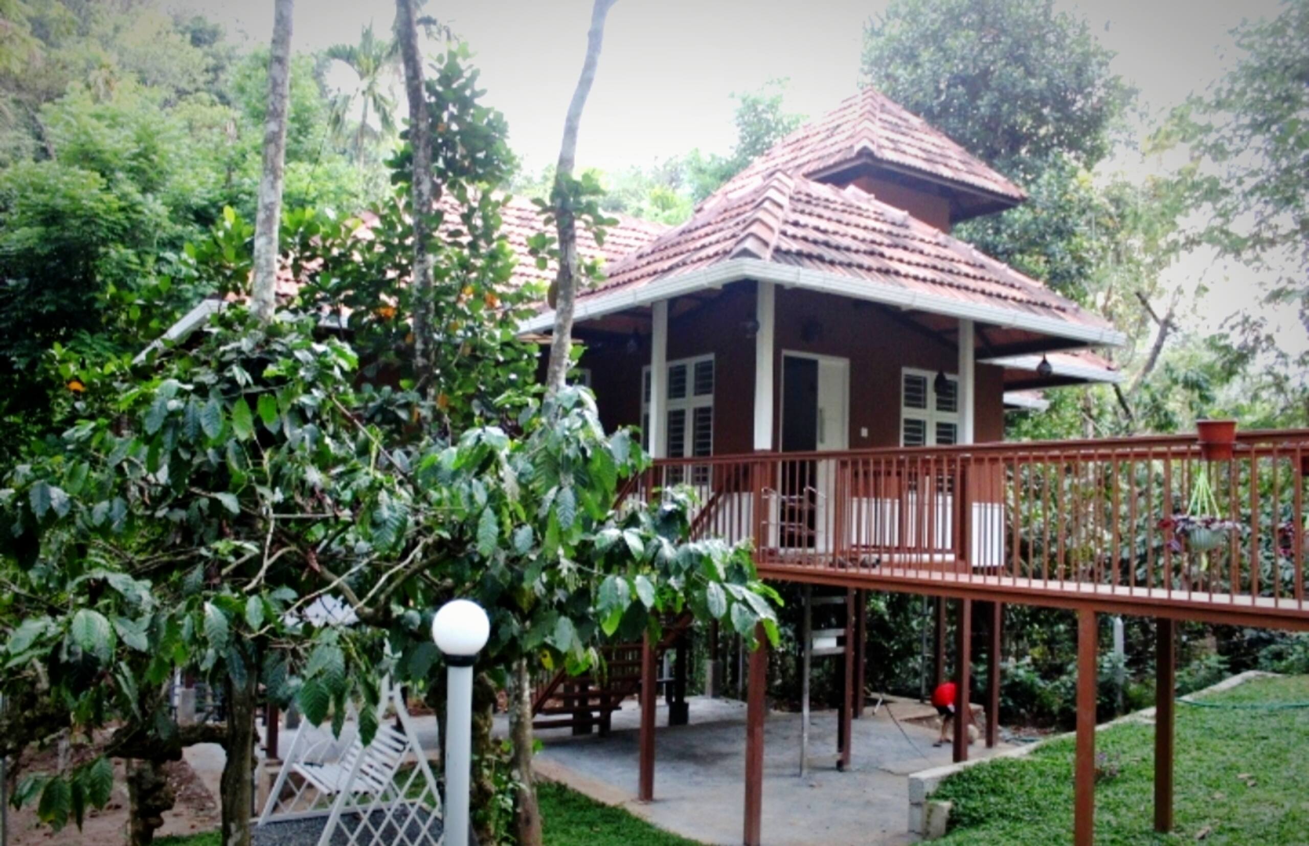 Neerthanal - Streamside Nature Stay at Wayanad 28