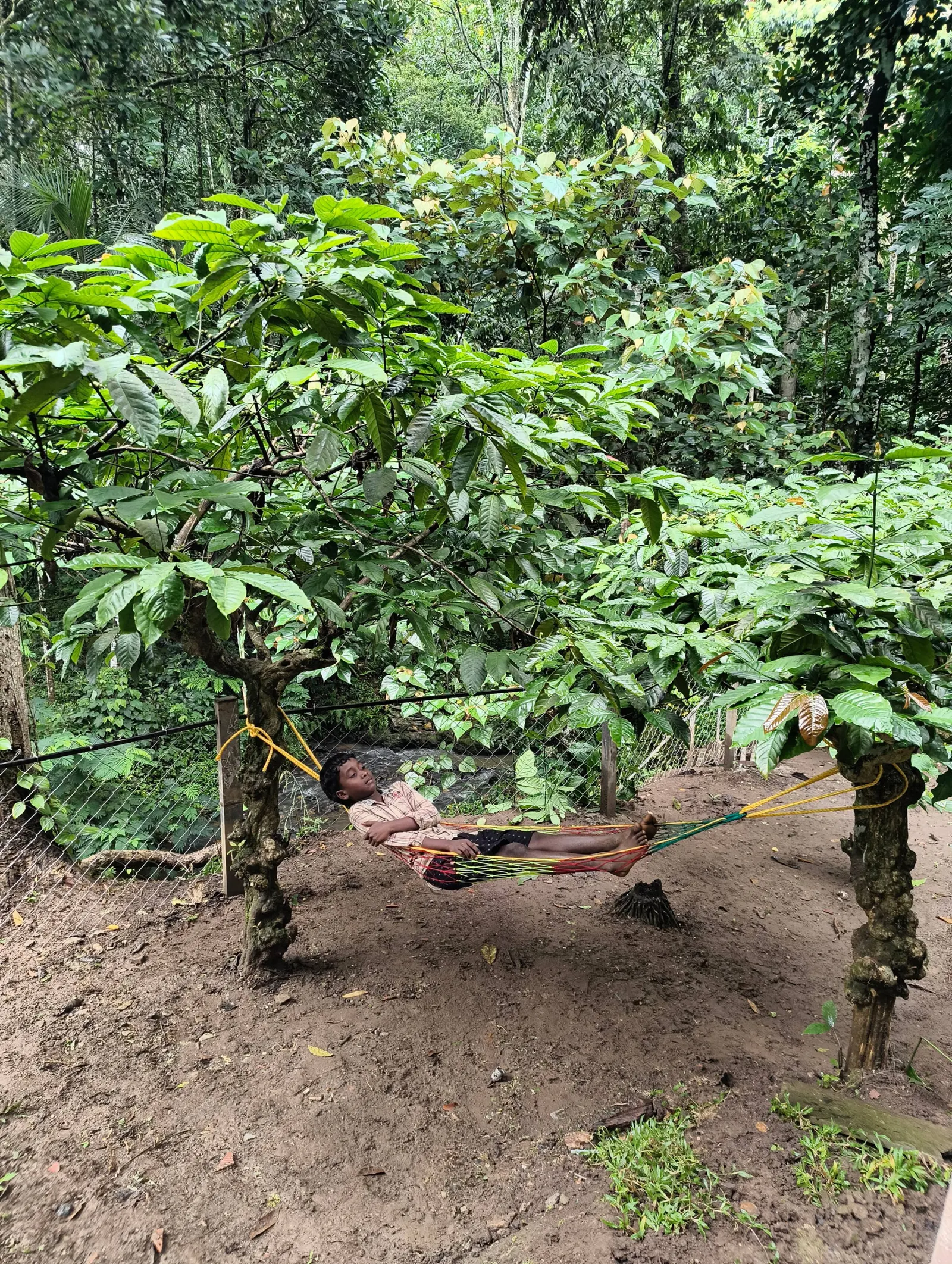 Neerthanal - Streamside Nature Stay at Wayanad 37