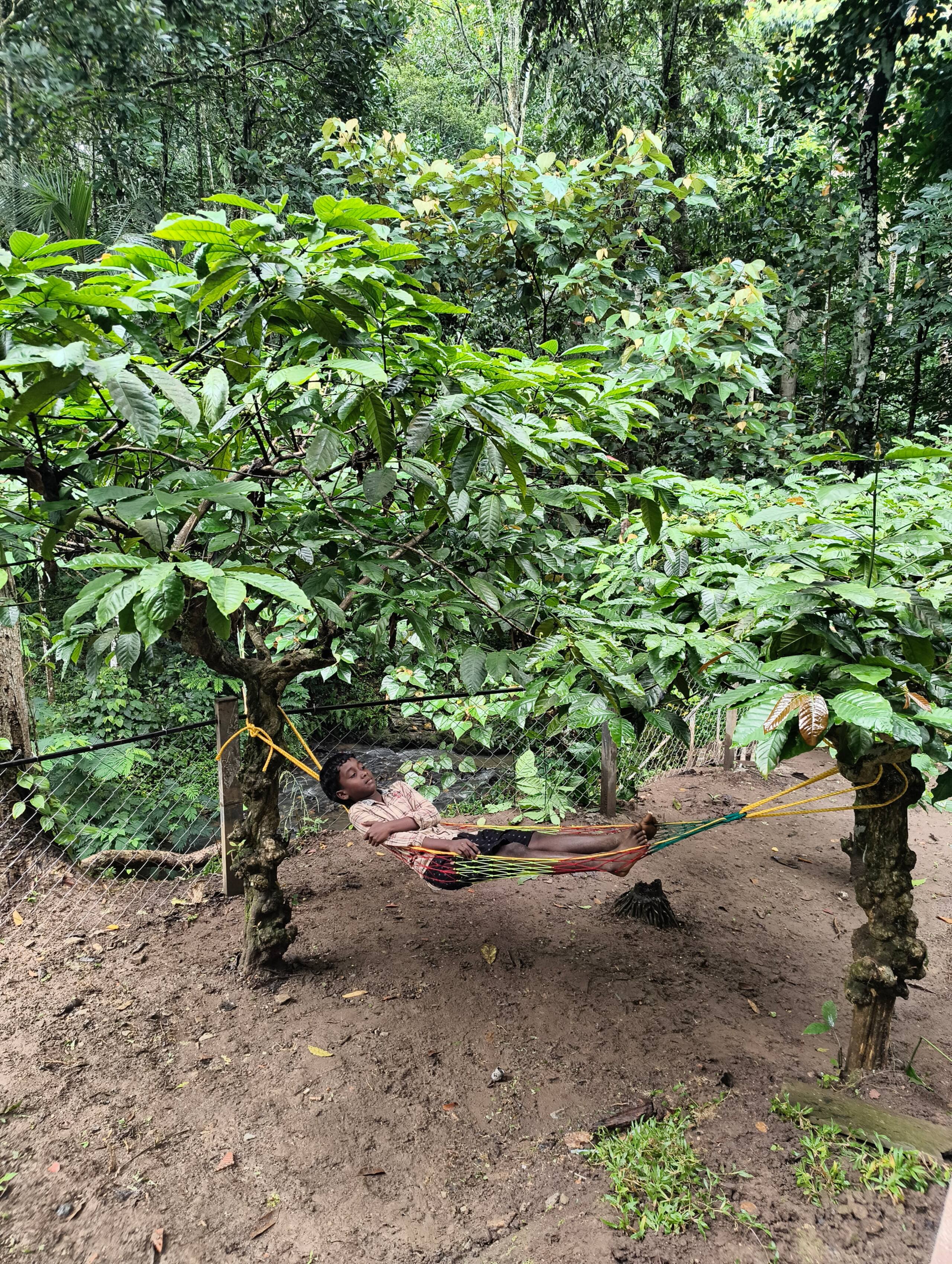 Neerthanal - Streamside Nature Stay at Wayanad 37