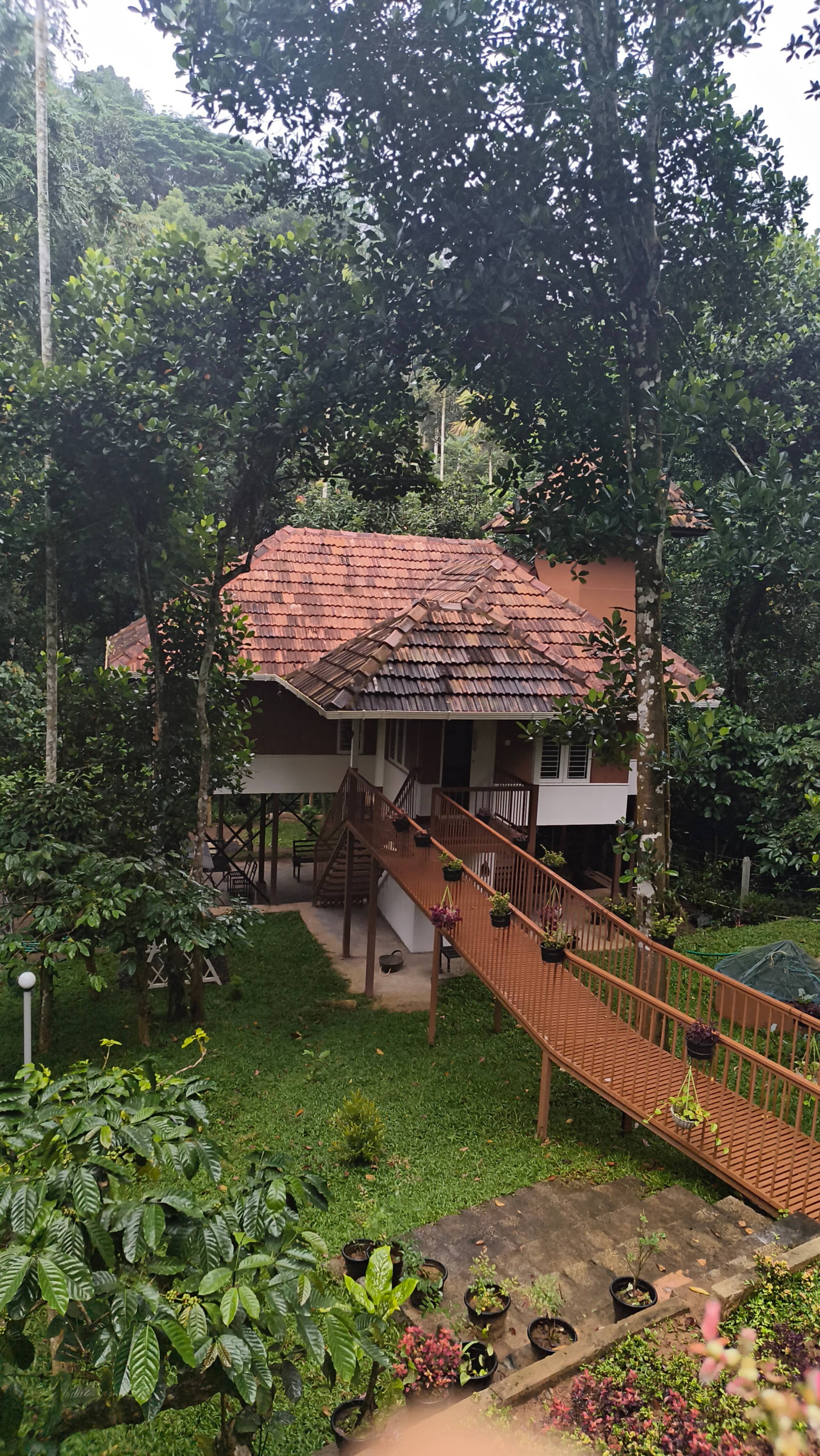 Neerthanal - Streamside Nature Stay at Wayanad 36
