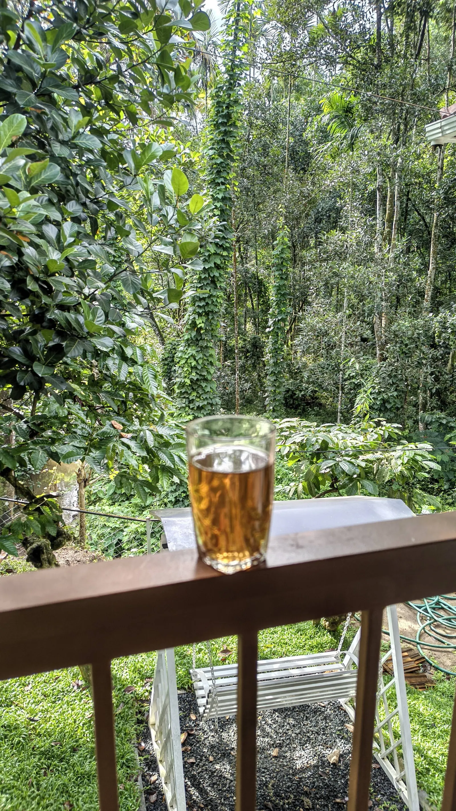 Neerthanal - Streamside Nature Stay at Wayanad 39
