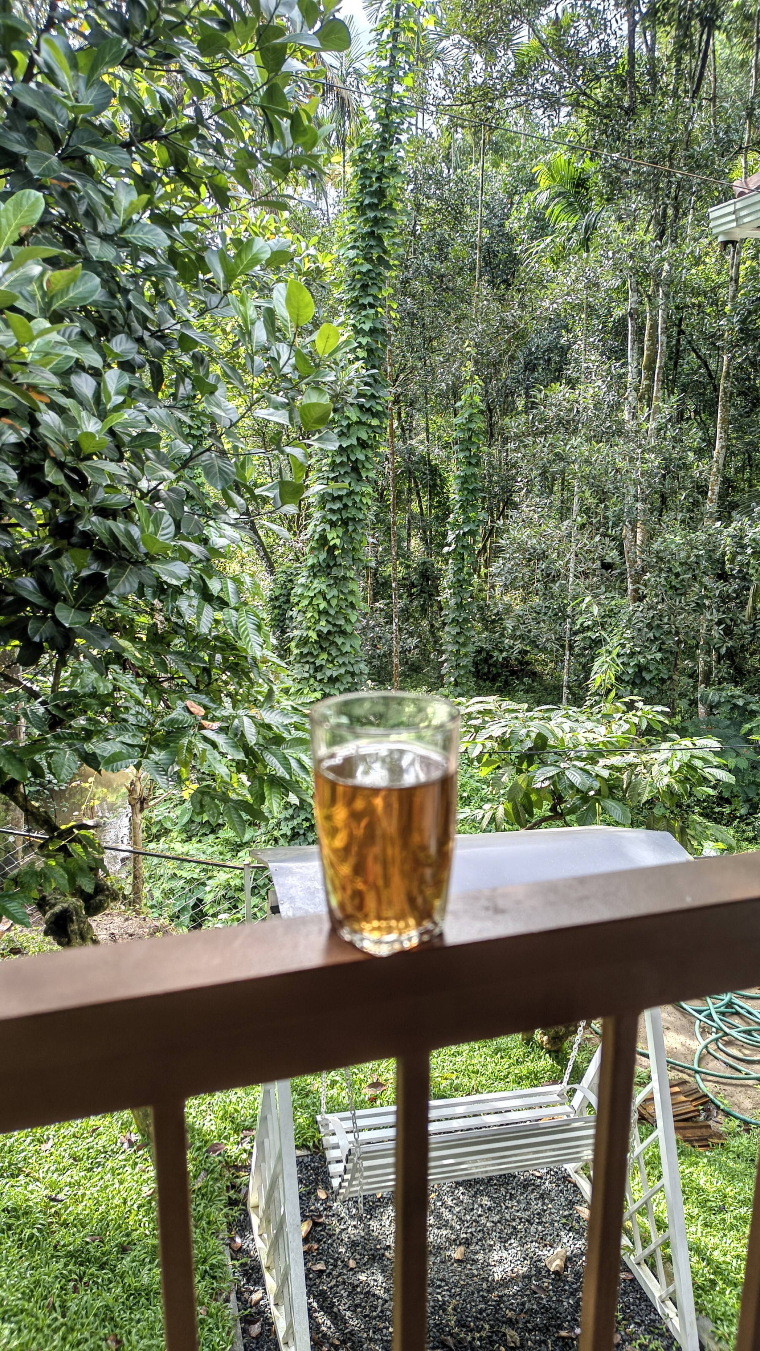 Neerthanal - Streamside Nature Stay at Wayanad 39