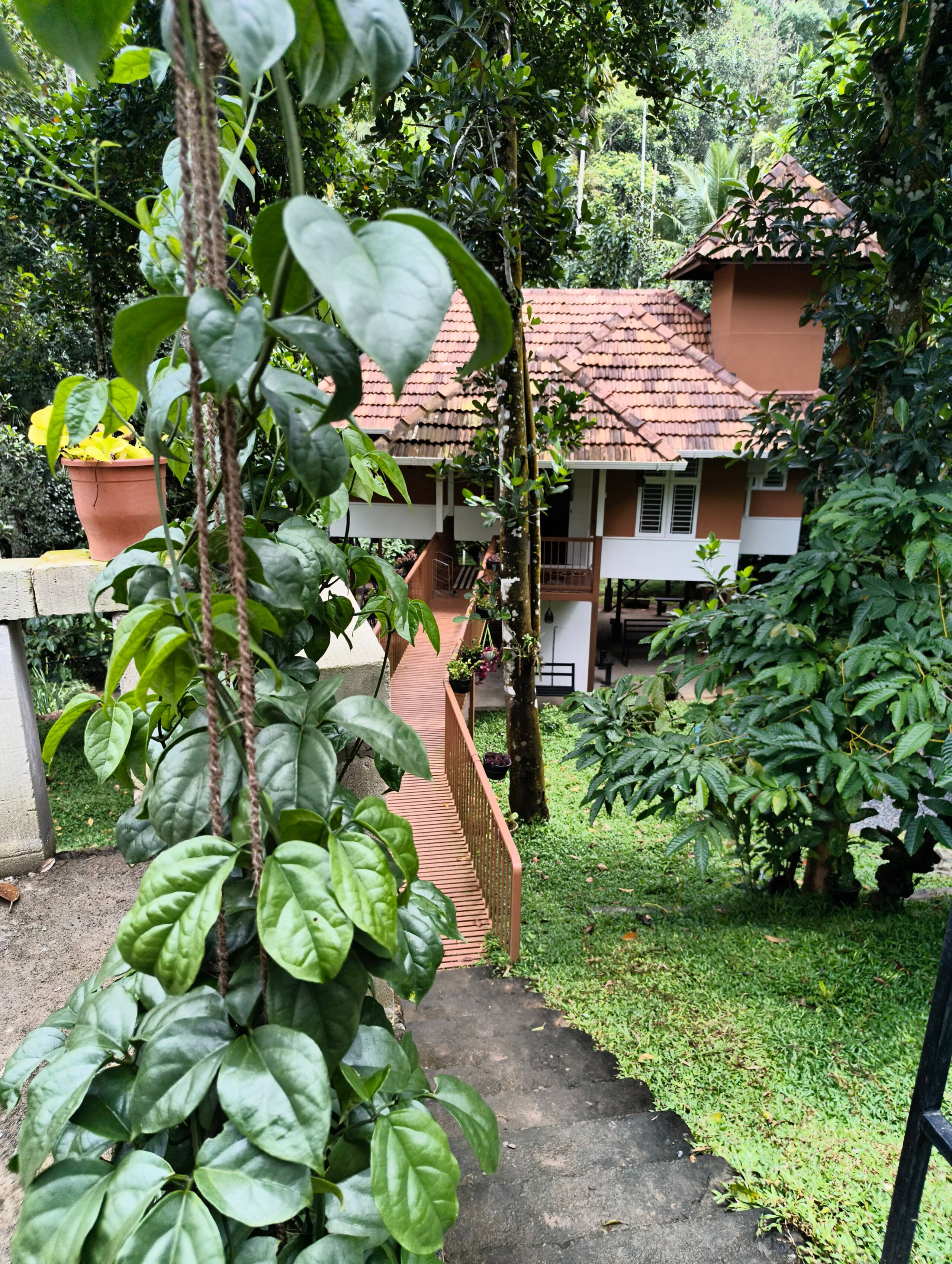 Neerthanal - Streamside Nature Stay at Wayanad 38