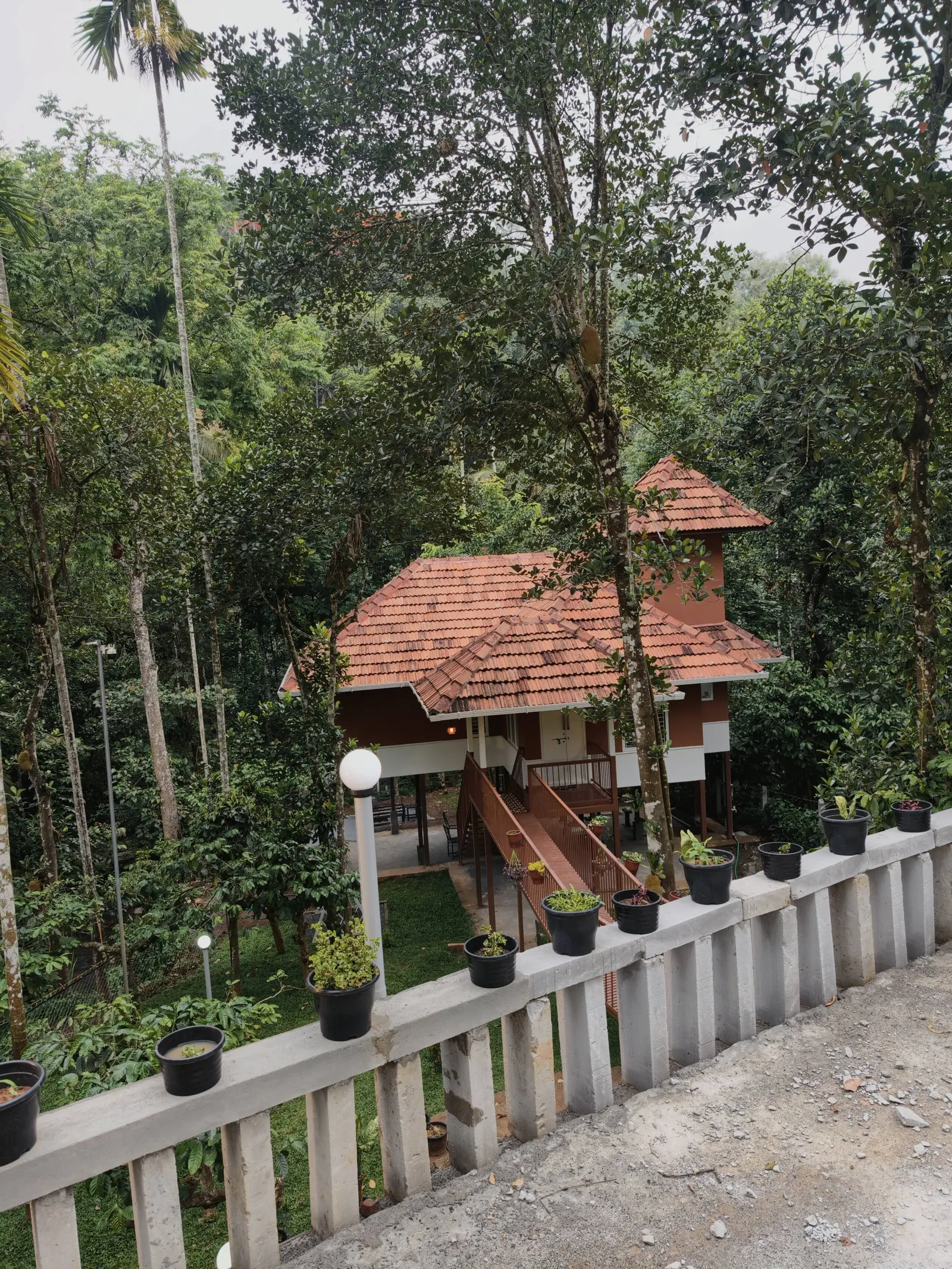 Neerthanal - Streamside Nature Stay at Wayanad 34