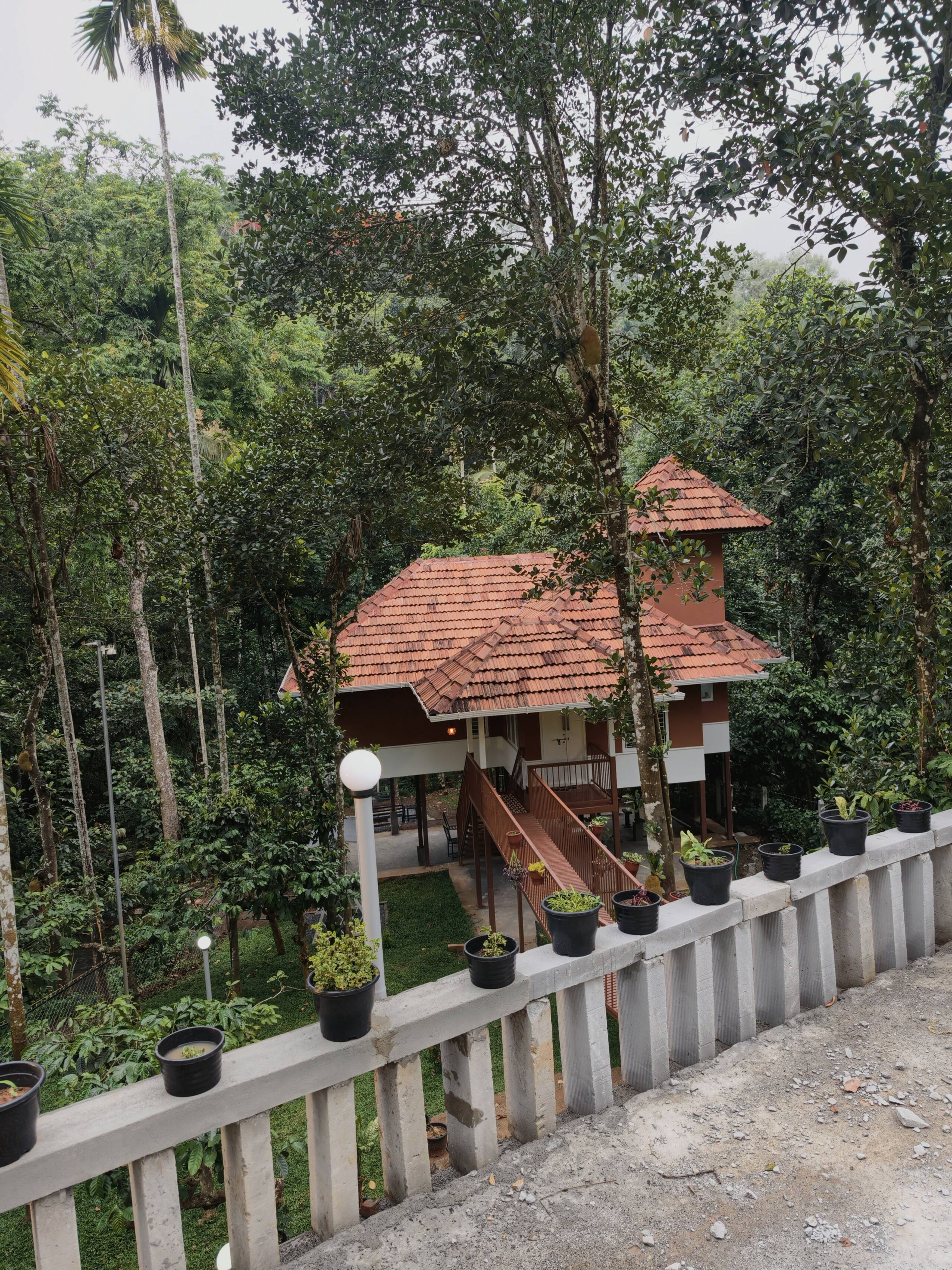 Neerthanal - Streamside Nature Stay at Wayanad 34