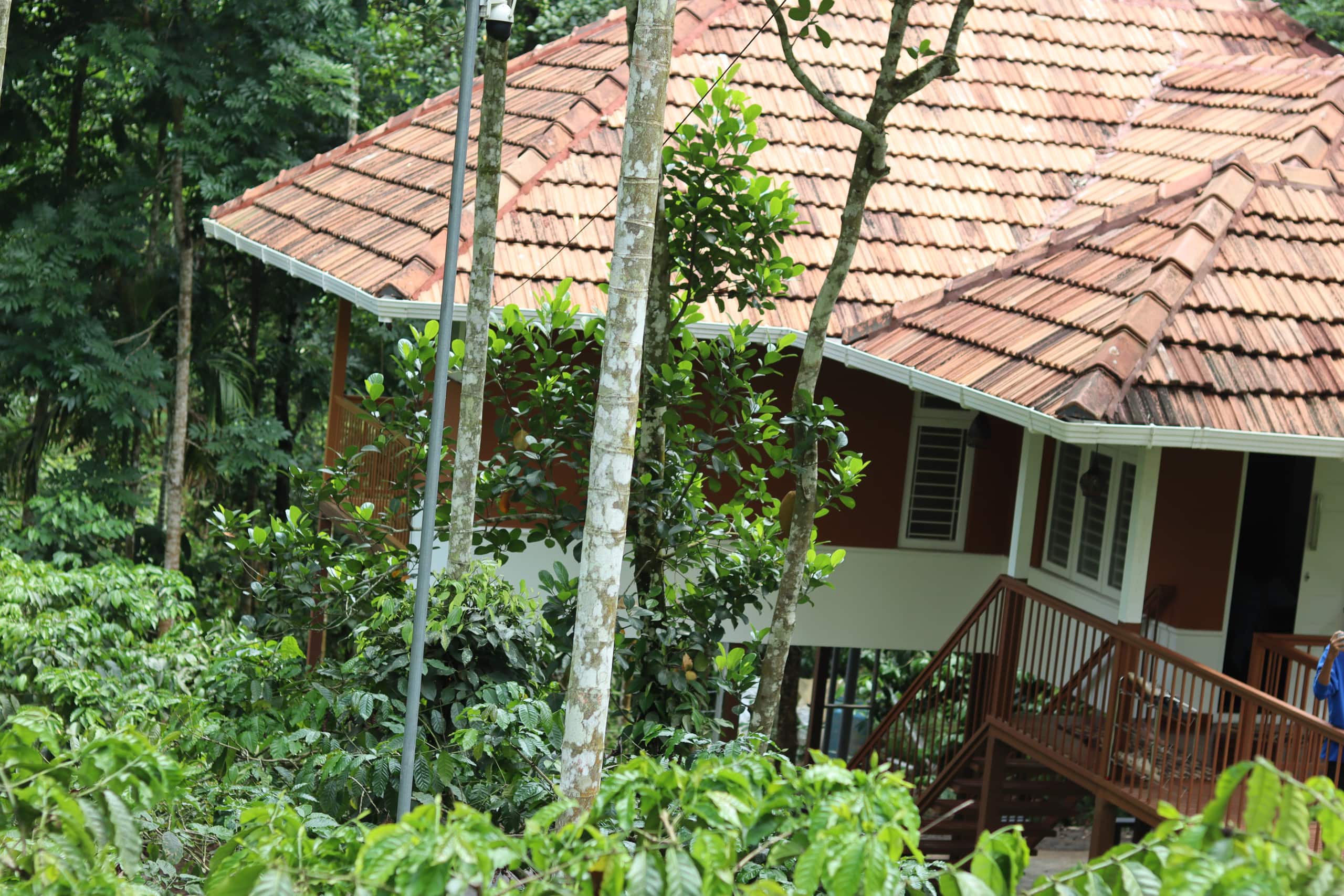 Neerthanal - Streamside Nature Stay at Wayanad 32