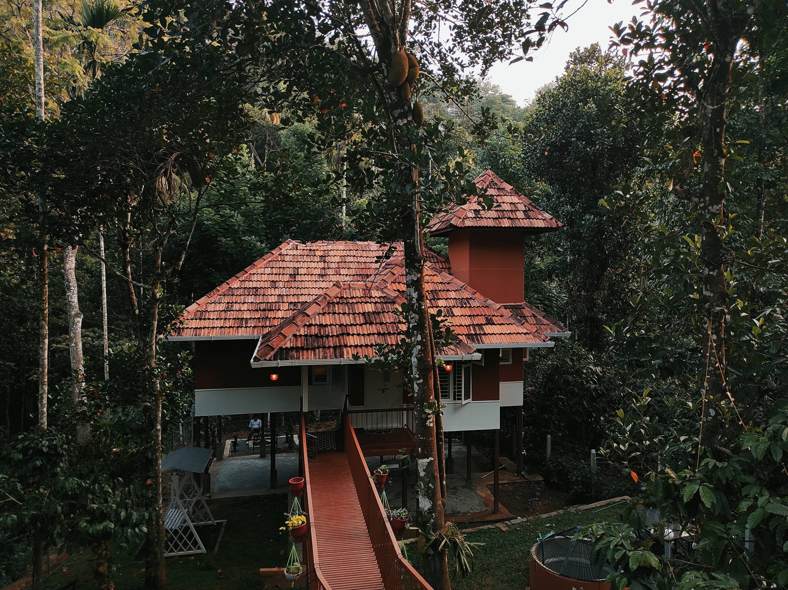 Neerthanal - Streamside Nature Stay at Wayanad 25