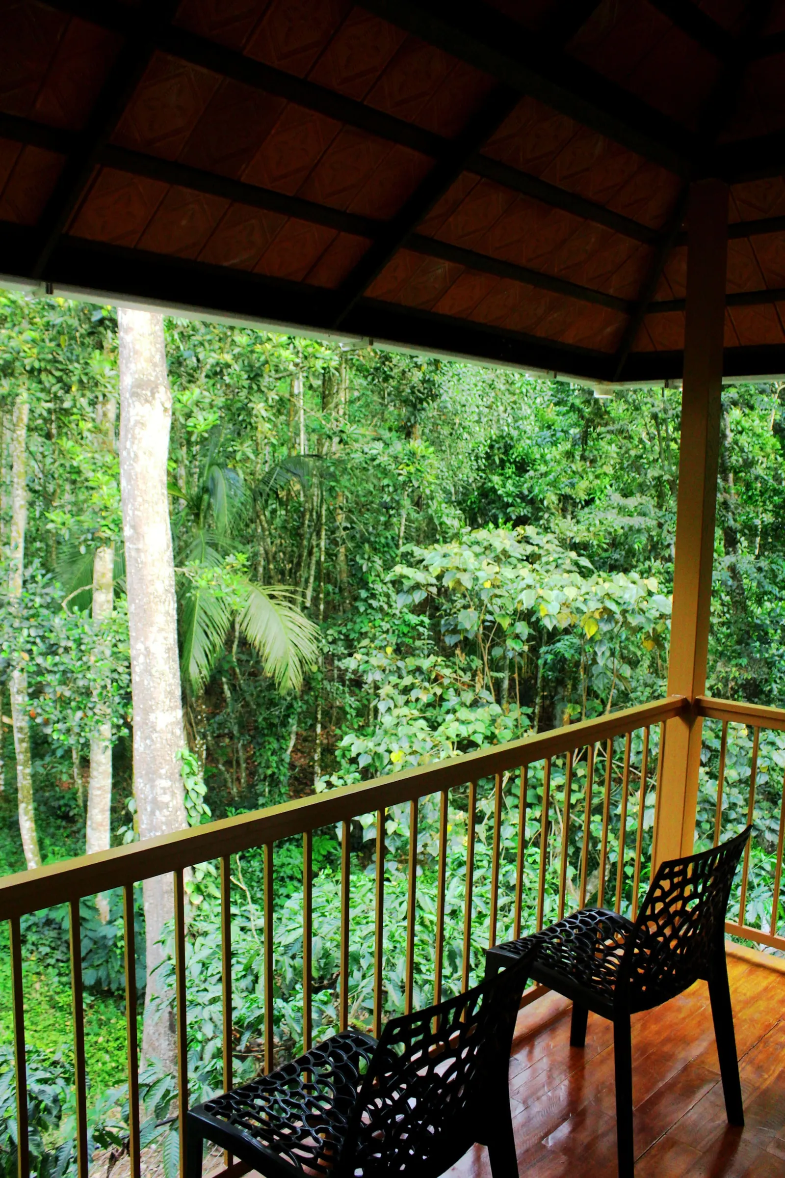 Neerthanal - Streamside Nature Stay at Wayanad 7