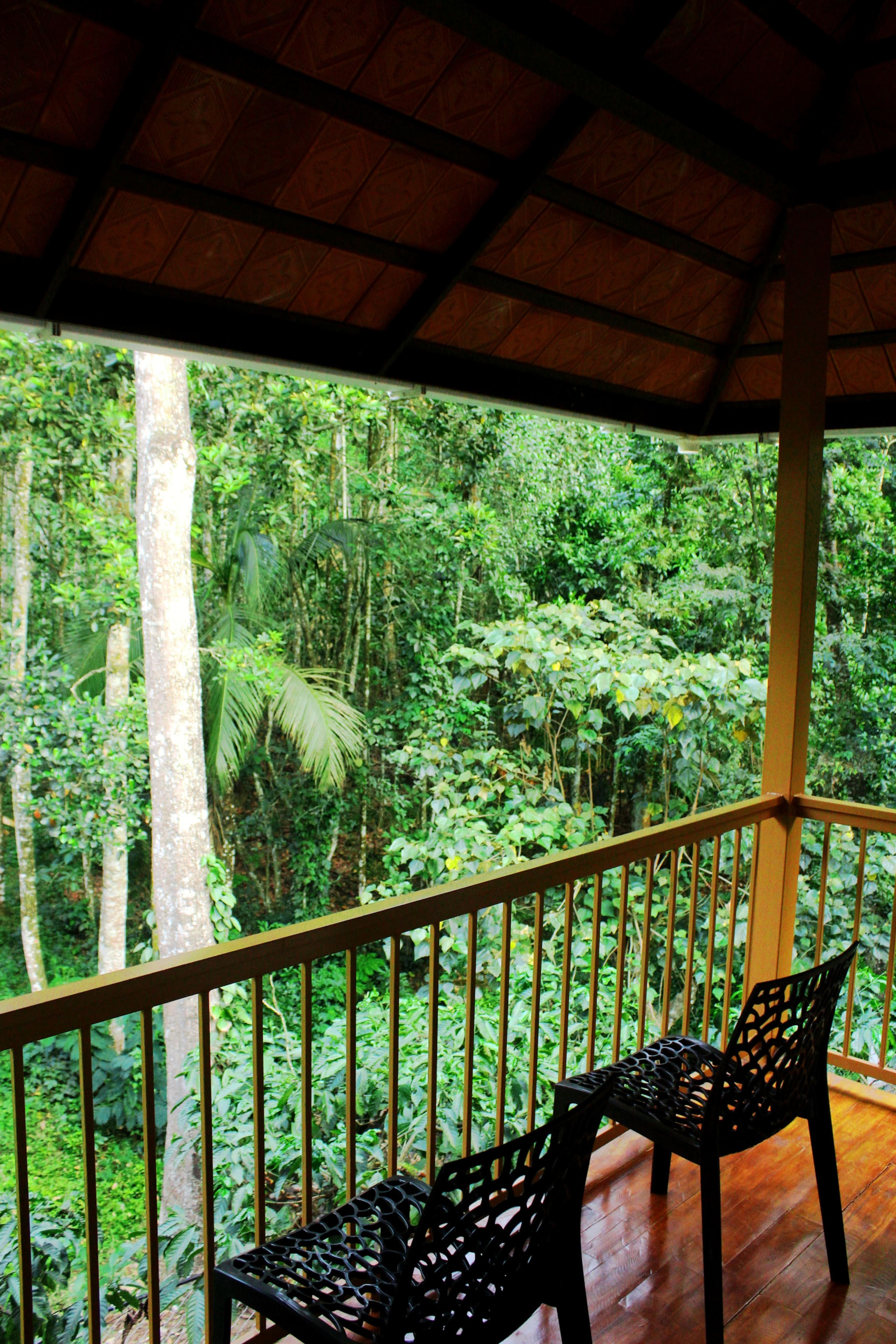 Neerthanal - Streamside Nature Stay at Wayanad 7