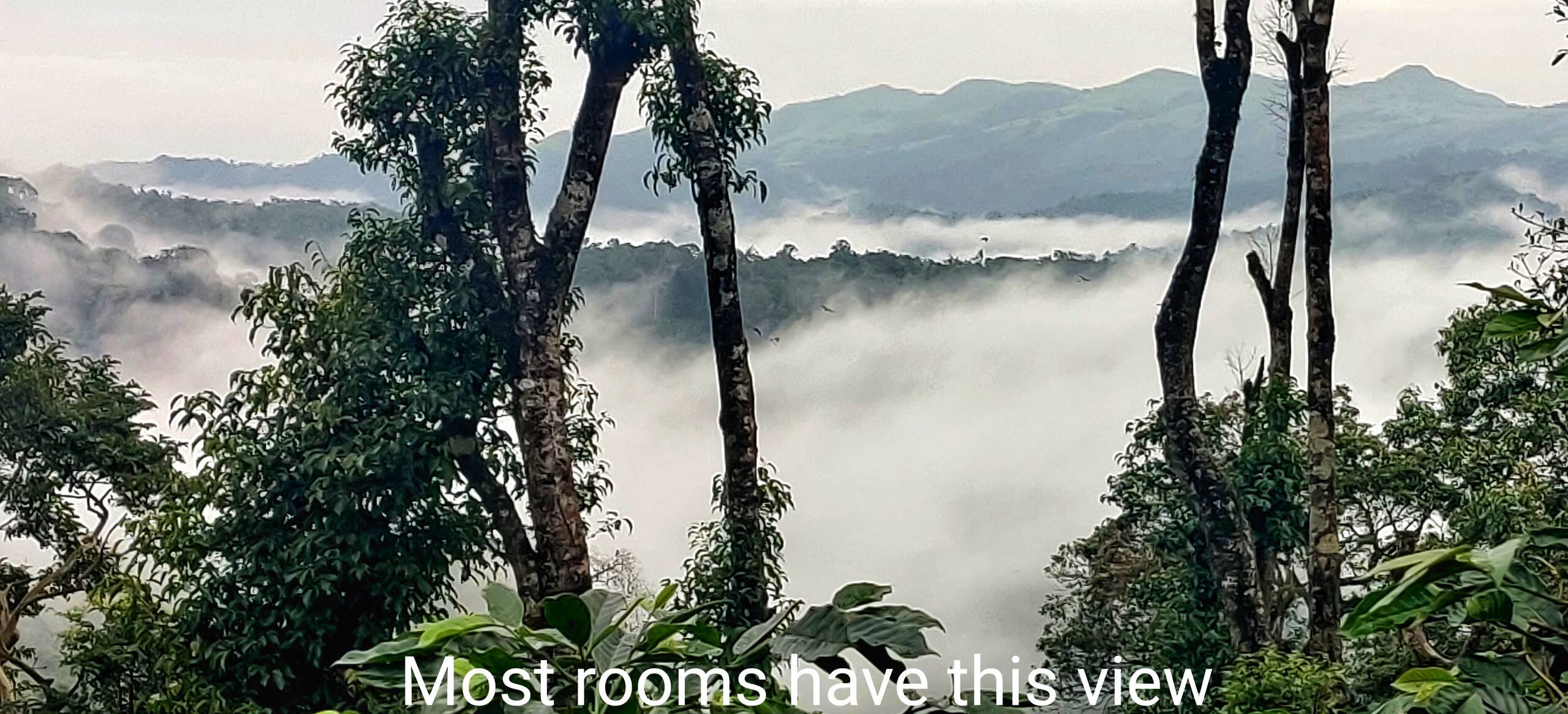 Woodpecker Estate-Wooden villa, mountain view 18