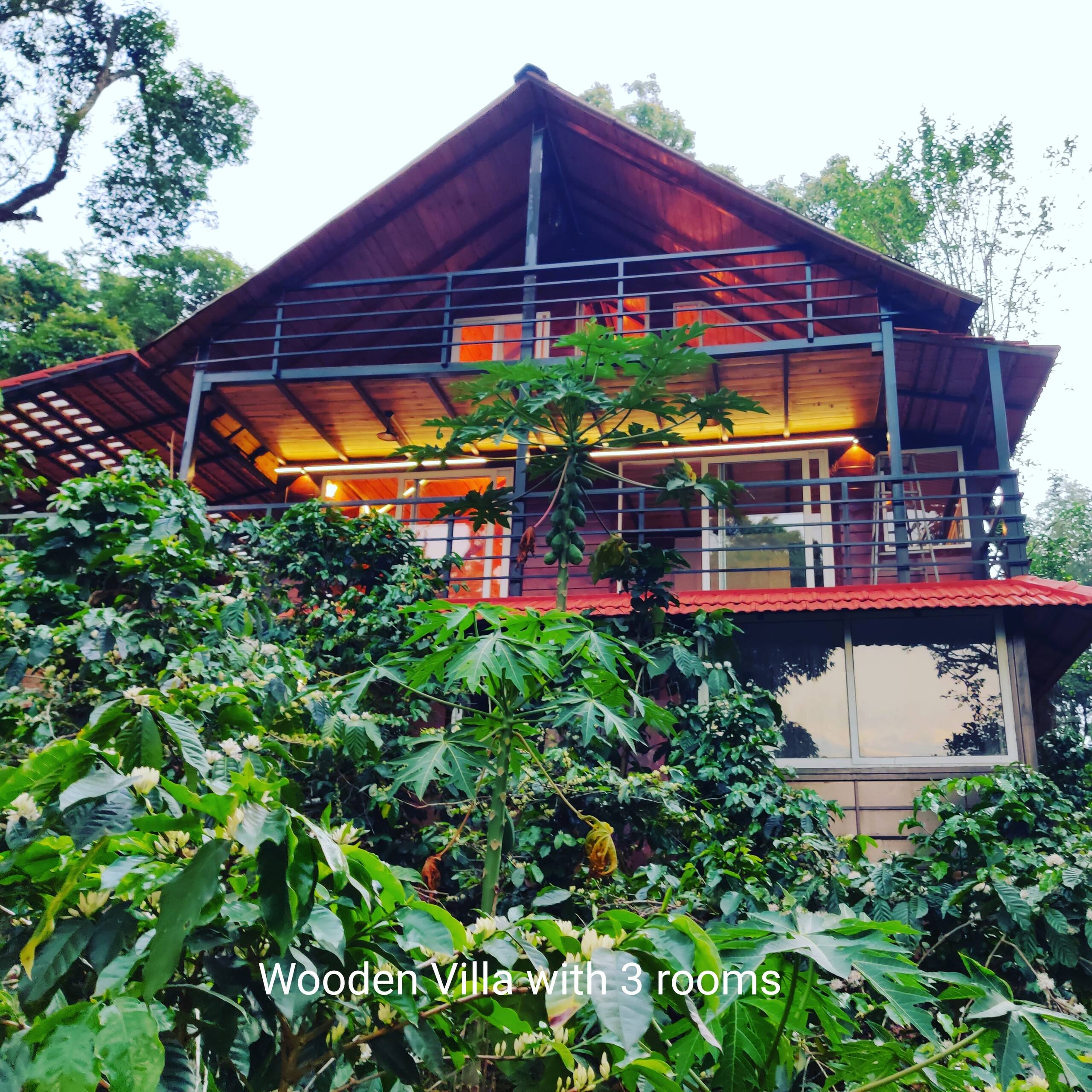 Woodpecker Estate-Wooden villa, mountain view 19