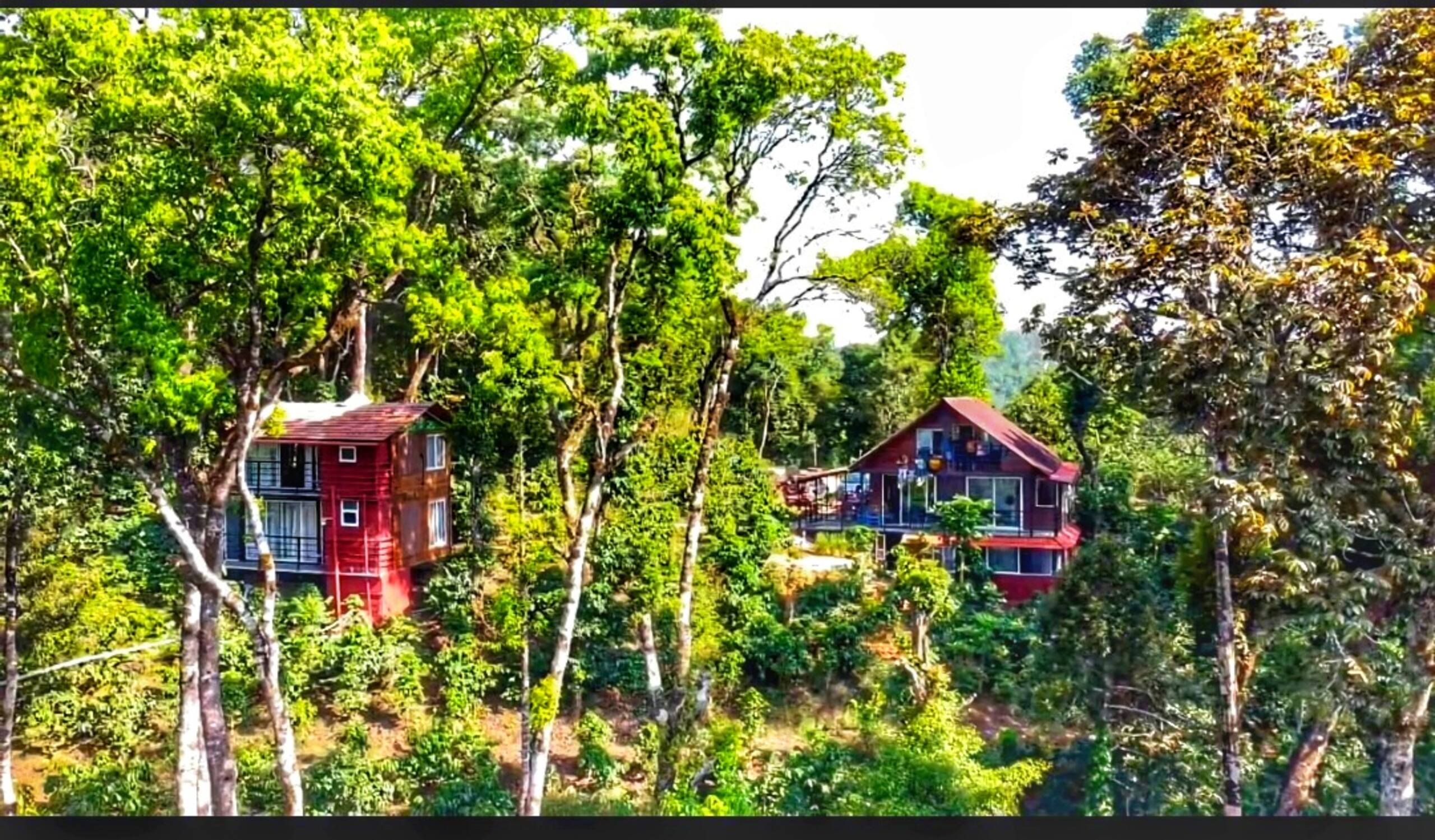 Woodpecker Estate-Wooden villa, mountain view 23