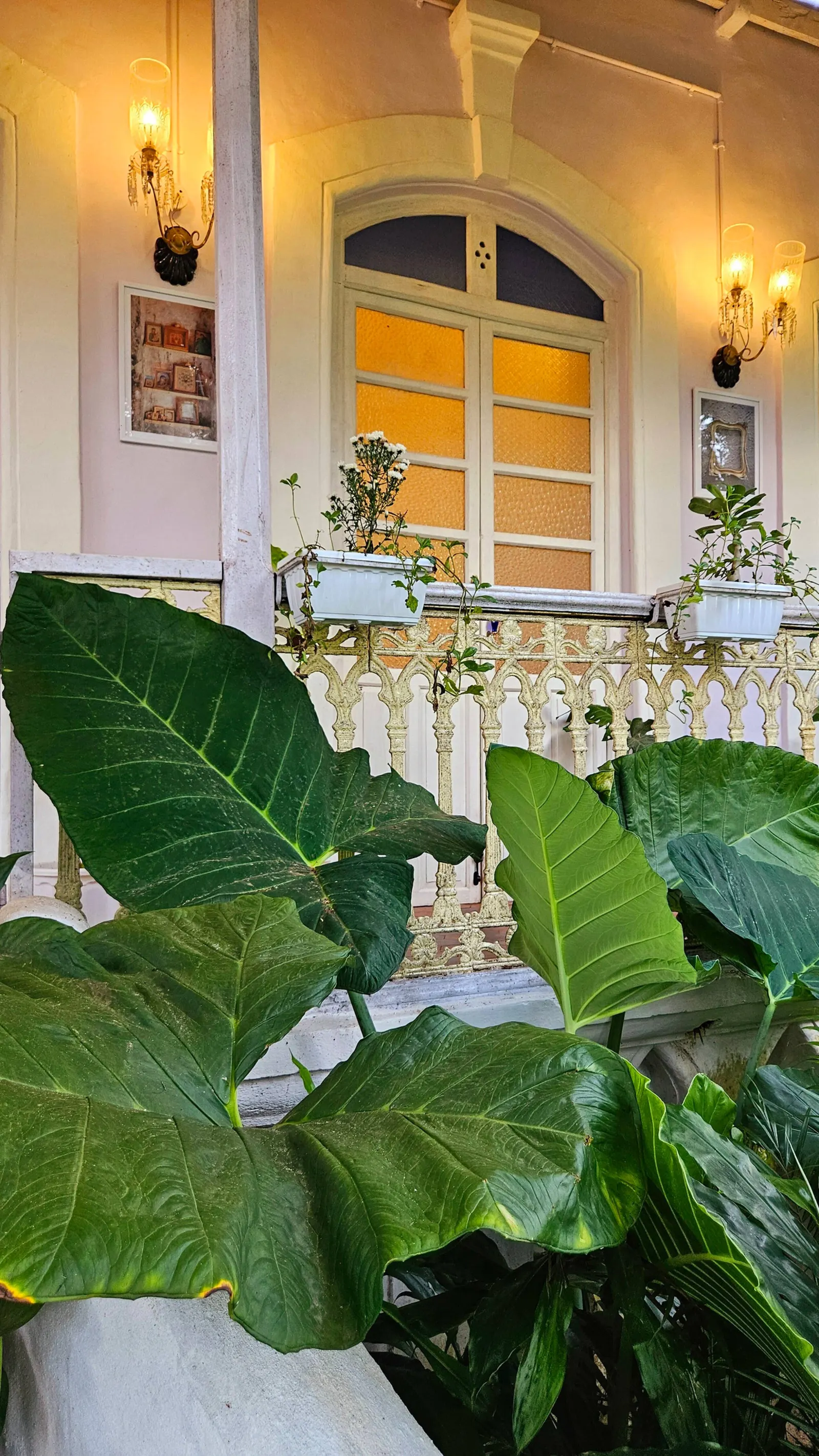 The Pearl of the South Goa (4 BHK Villa) 36