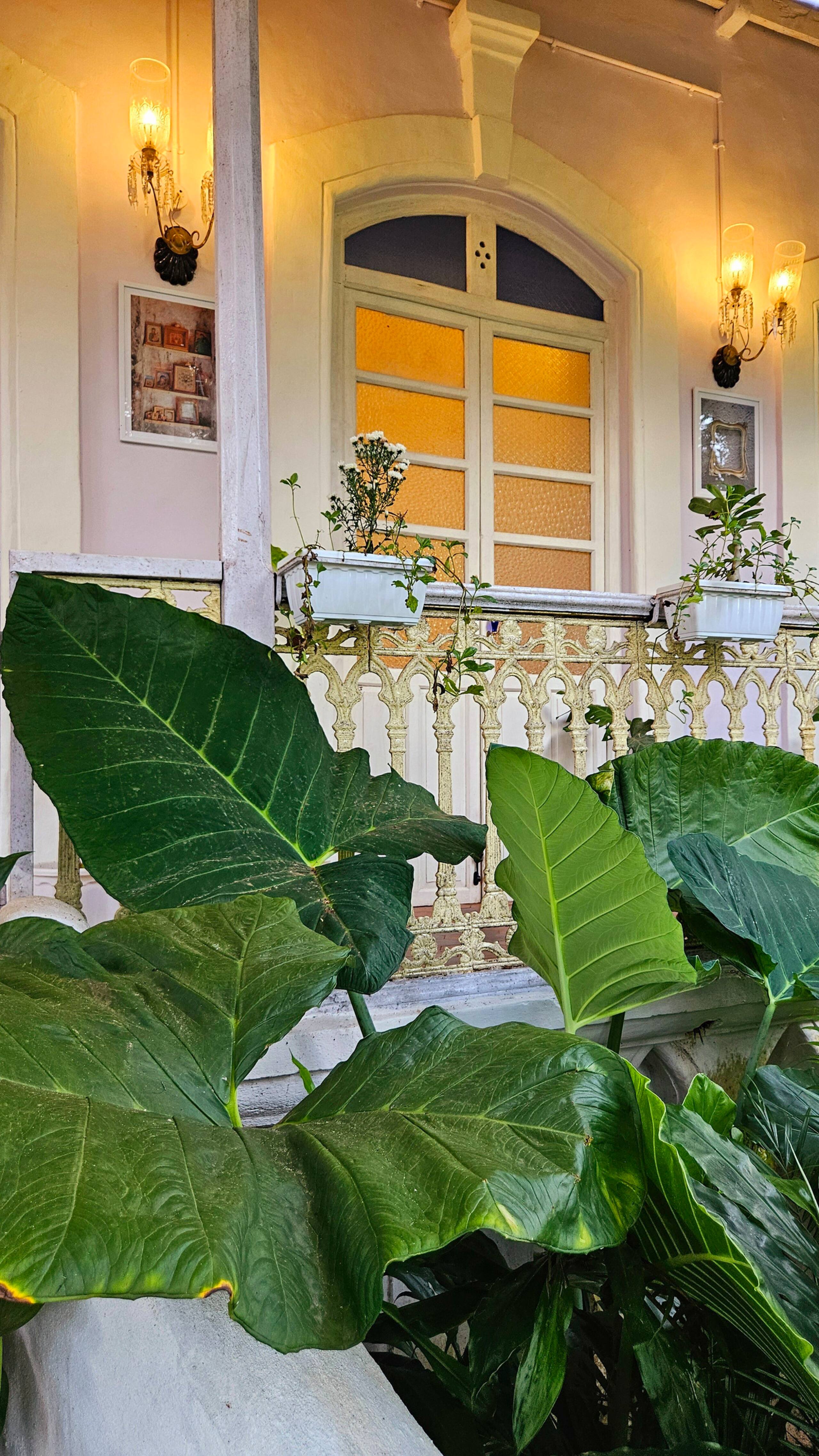 The Pearl of the South Goa (4 BHK Villa) 36