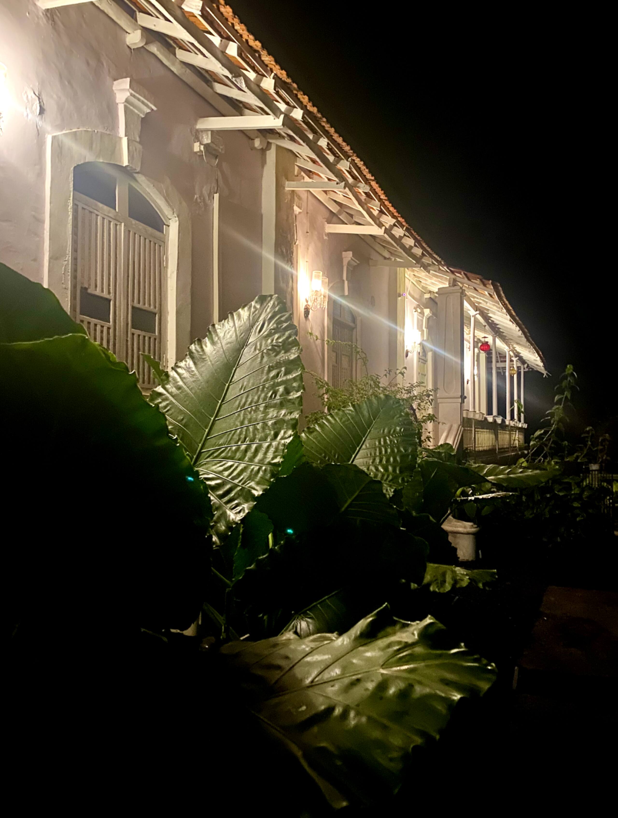 The Pearl of the South Goa (4 BHK Villa) 28