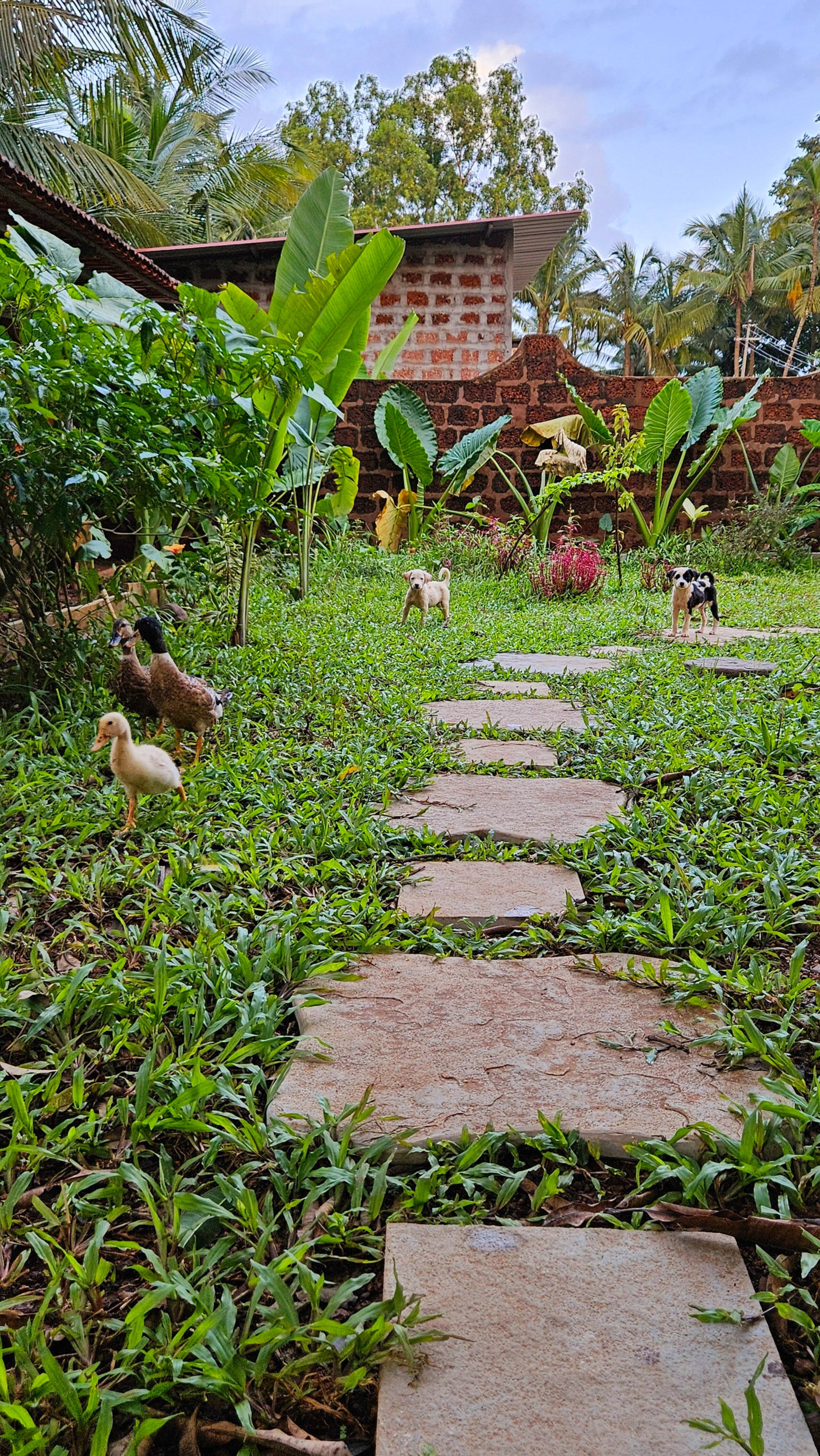 The Pearl of the South Goa (4 BHK Villa) 34