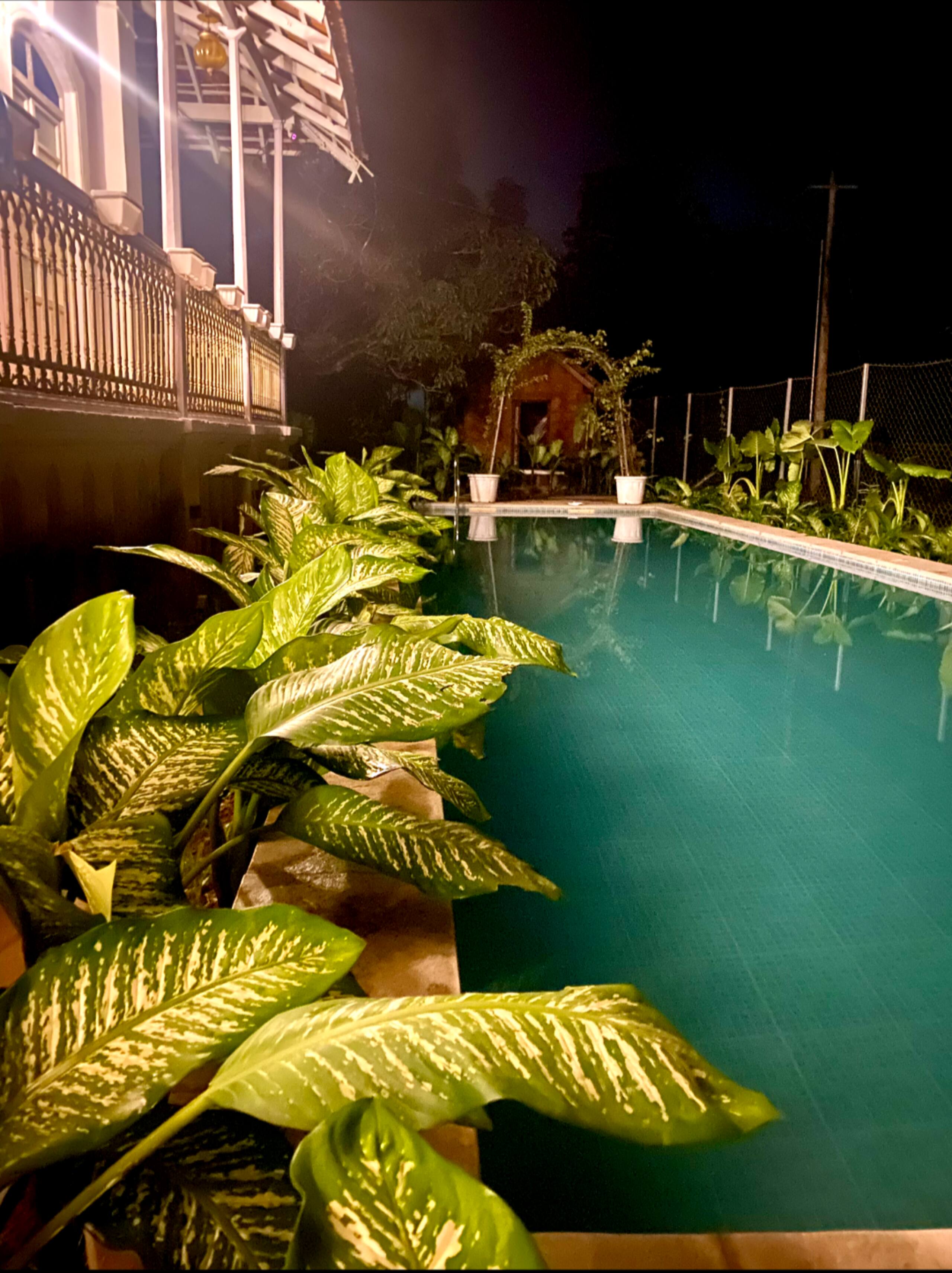 The Pearl of the South Goa (4 BHK Villa) 40