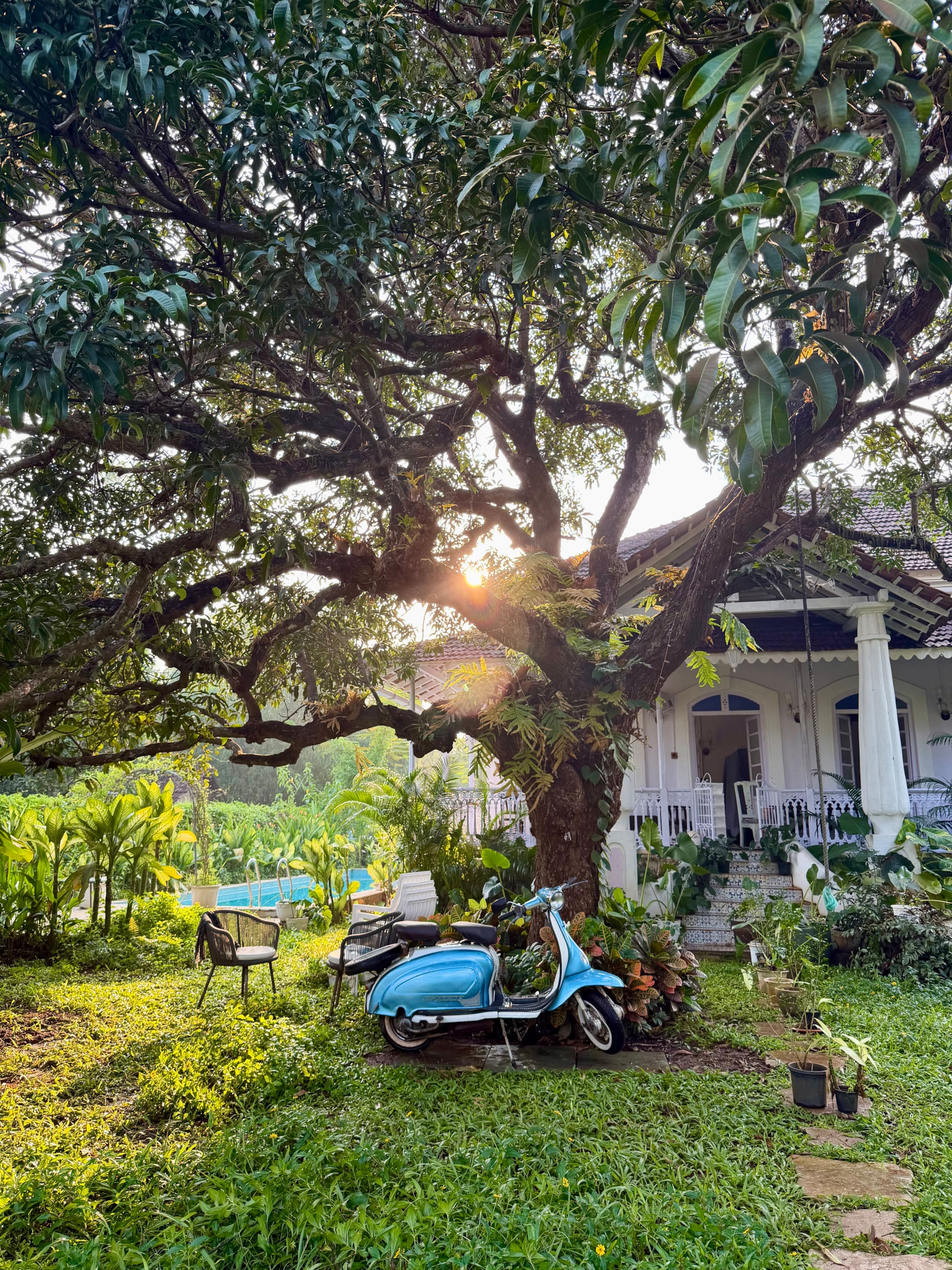 The Pearl of the South Goa (4 BHK Villa) 1
