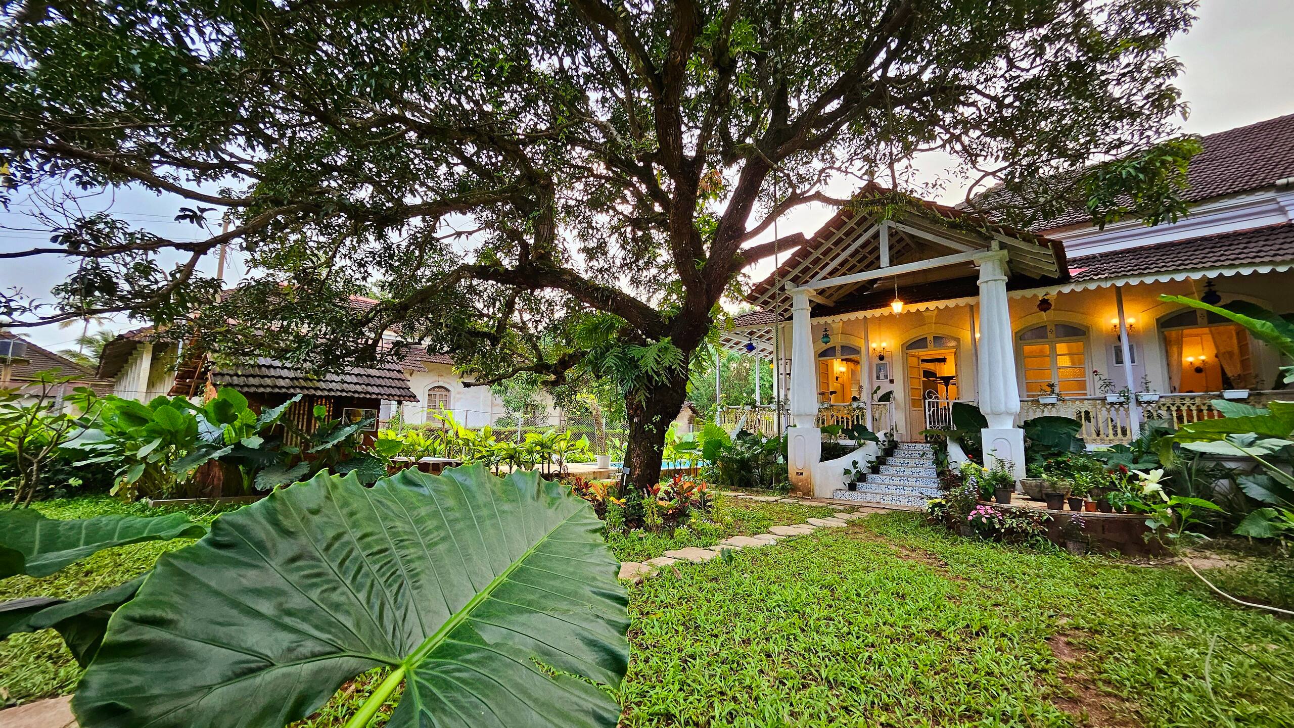 The Pearl of the South Goa (4 BHK Villa) 6