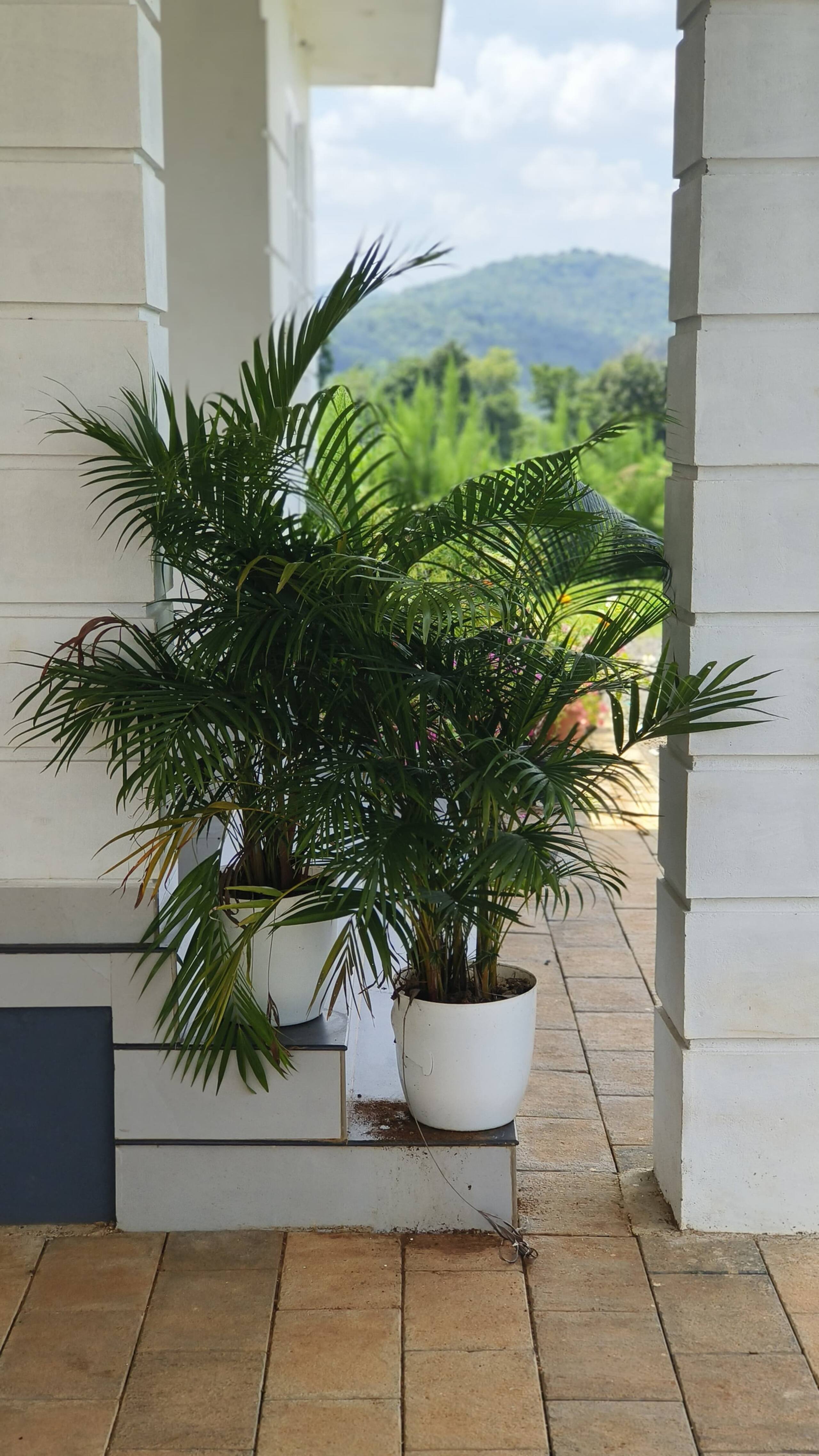 Vasudha Eco Homestay 14