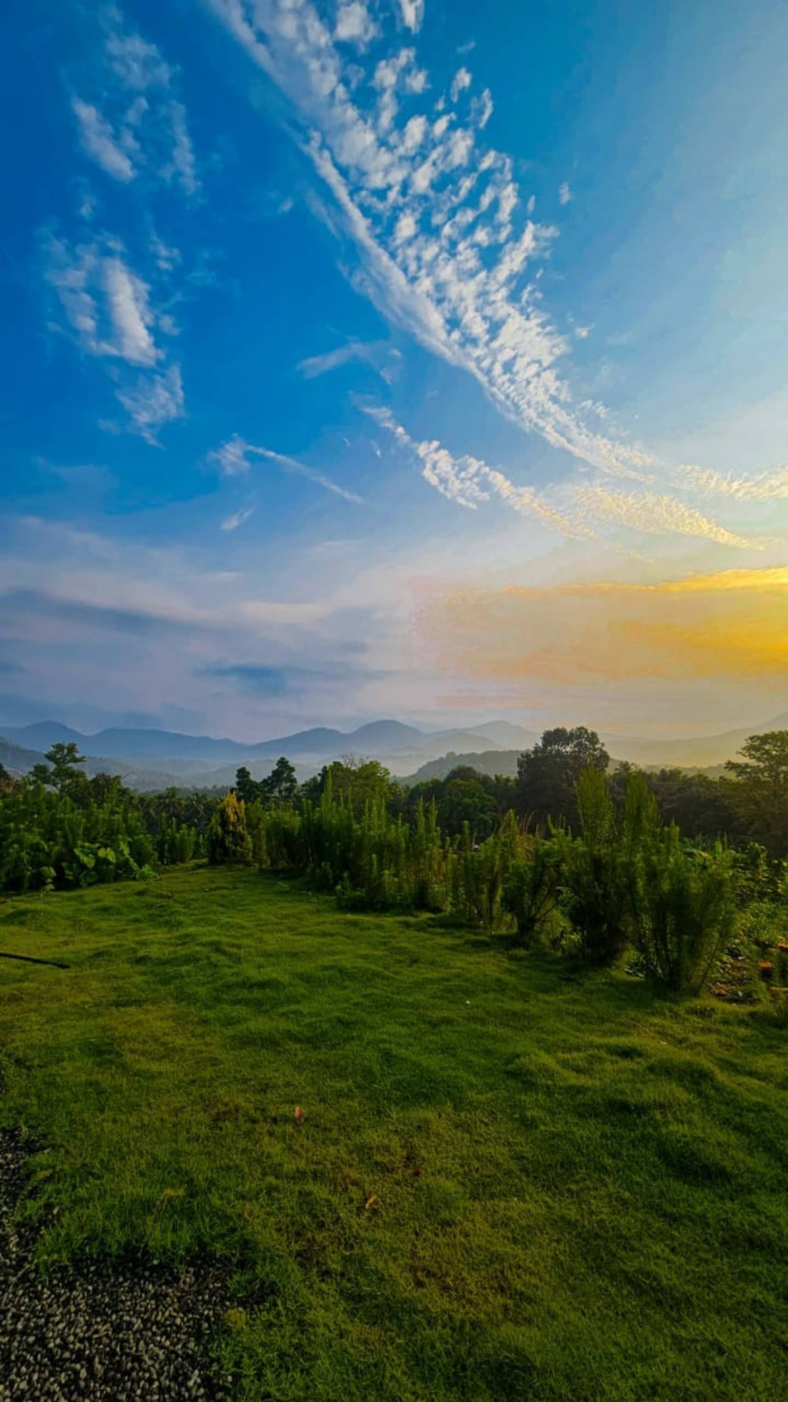 Vasudha Eco Homestay 22