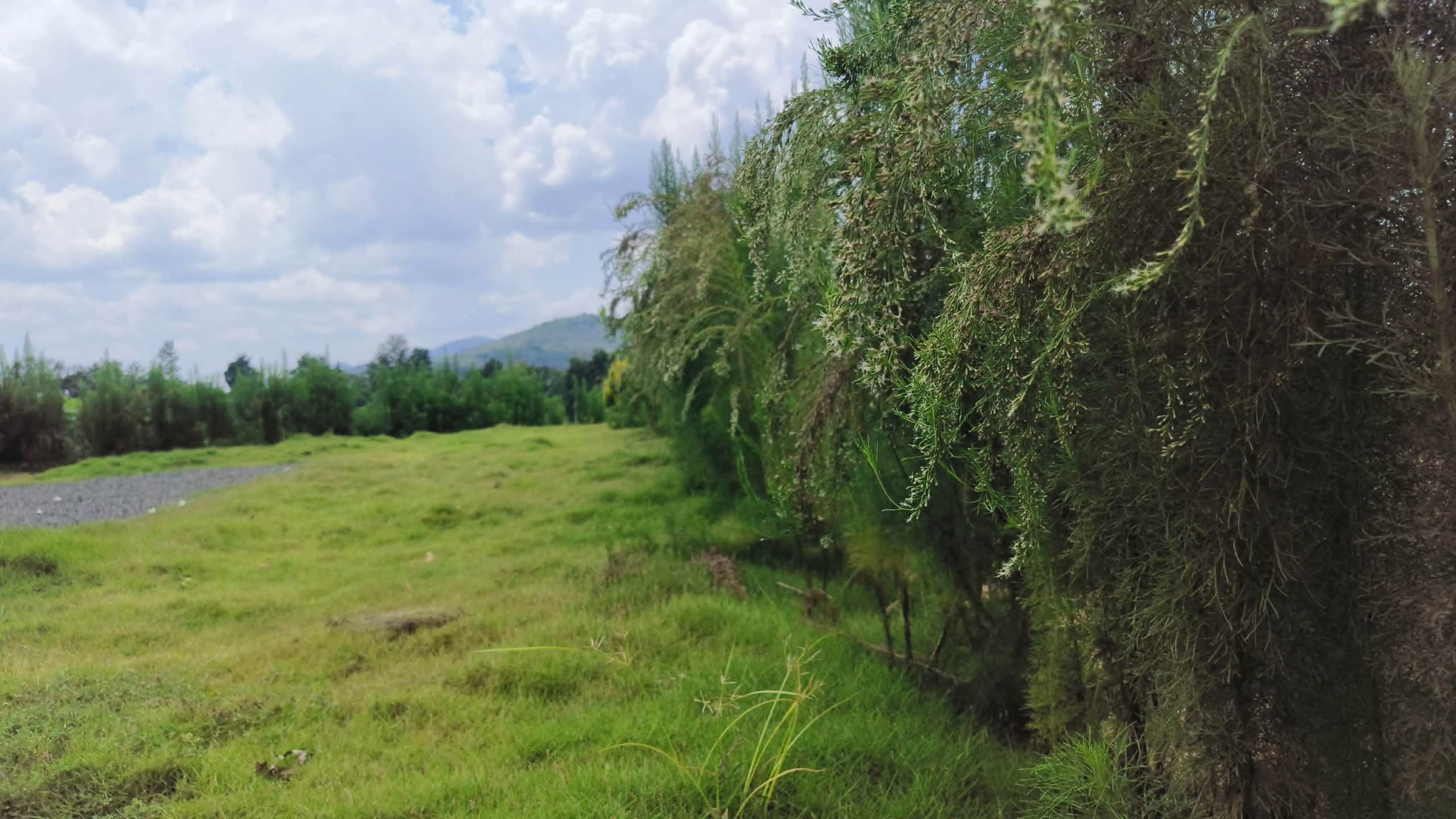 Vasudha Eco Homestay 15