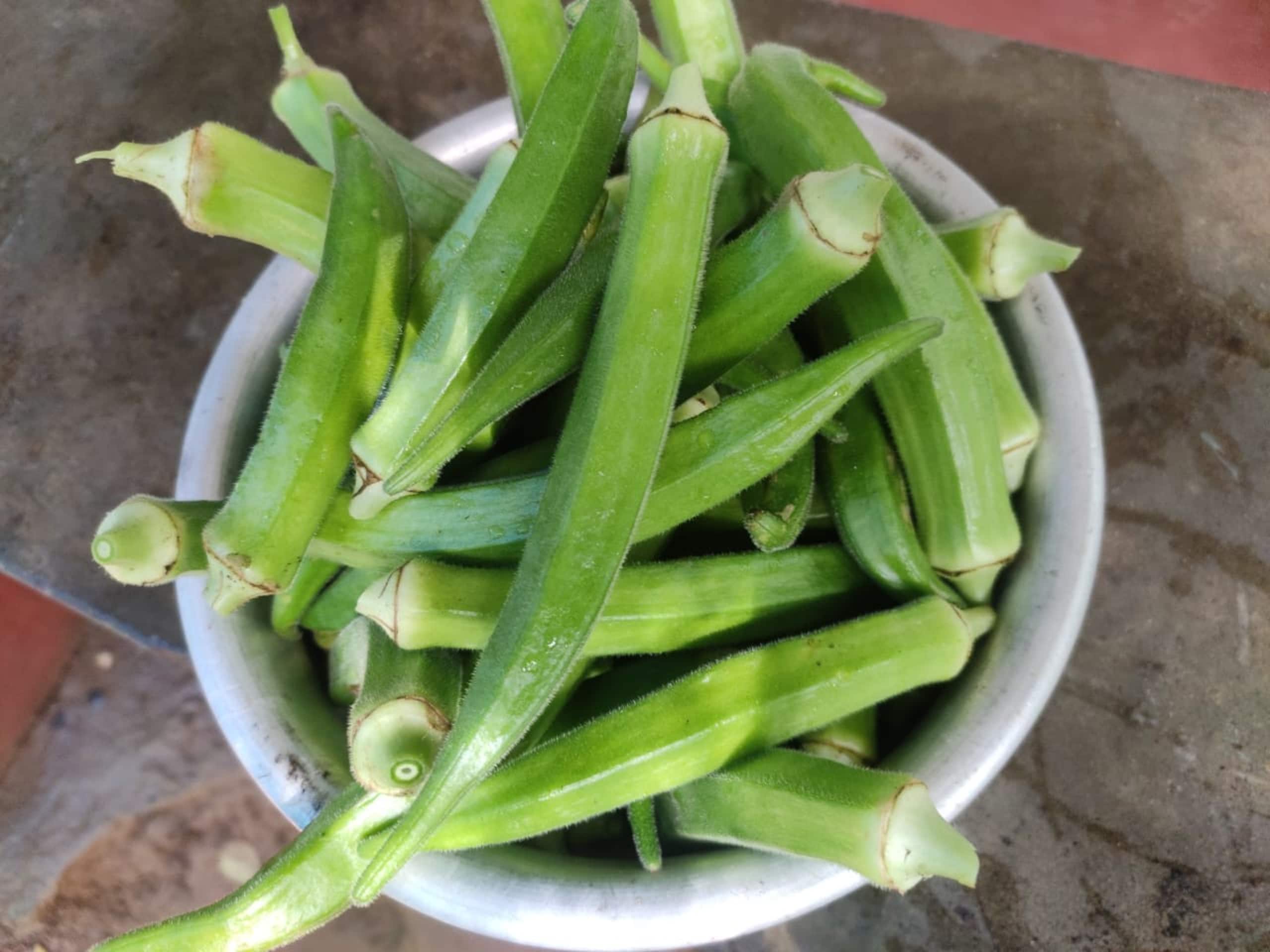 Vasudha Eco Homestay 32