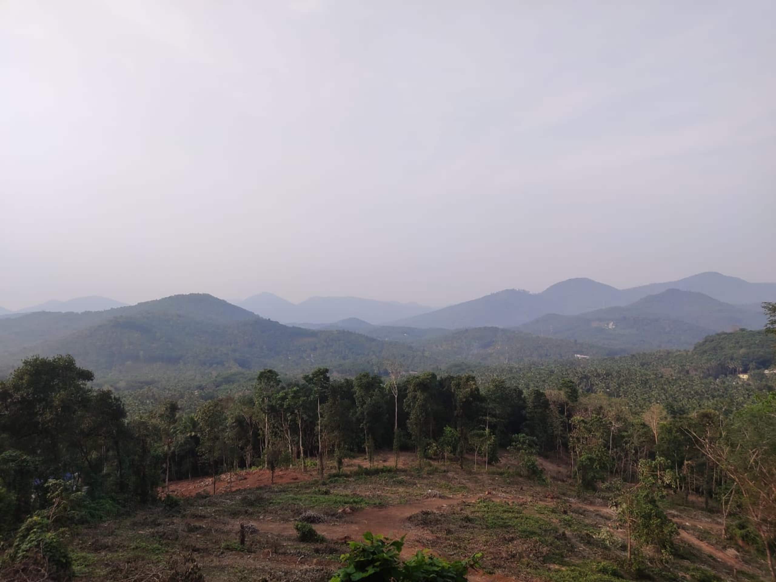 Vasudha Eco Homestay 30