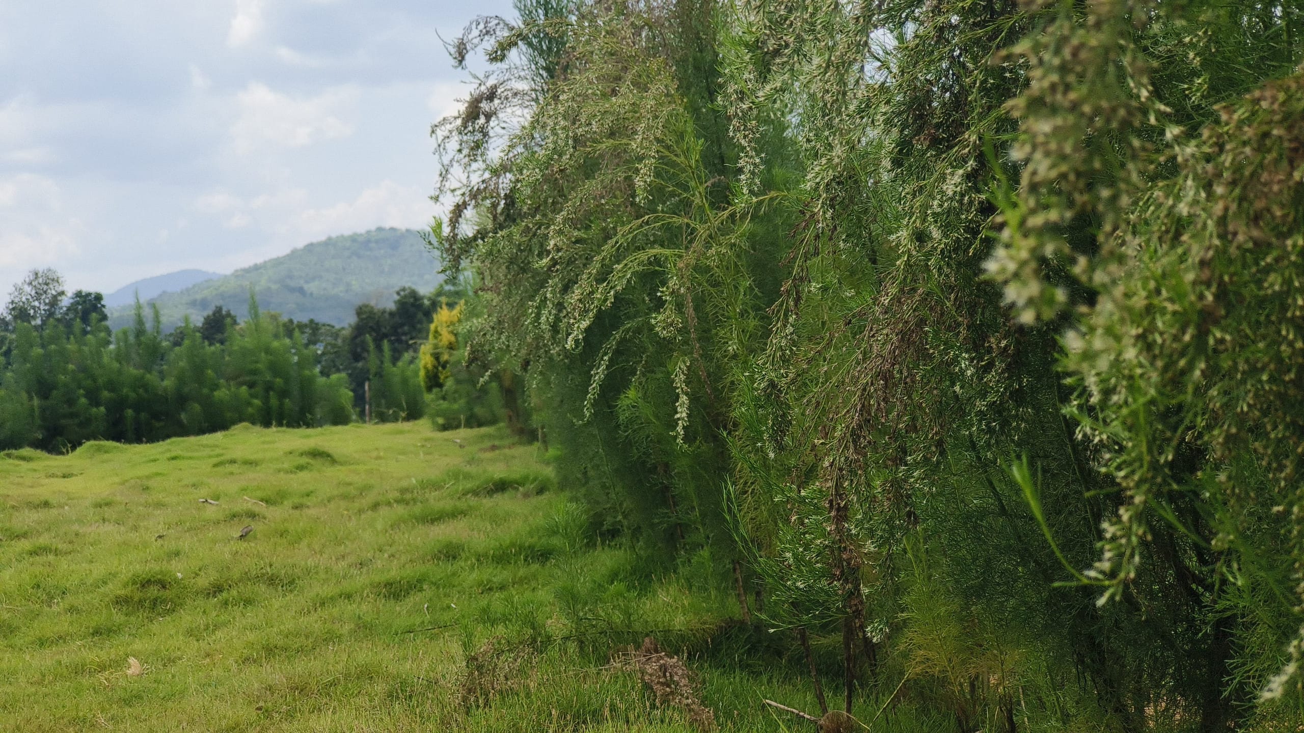Vasudha Eco Homestay 13