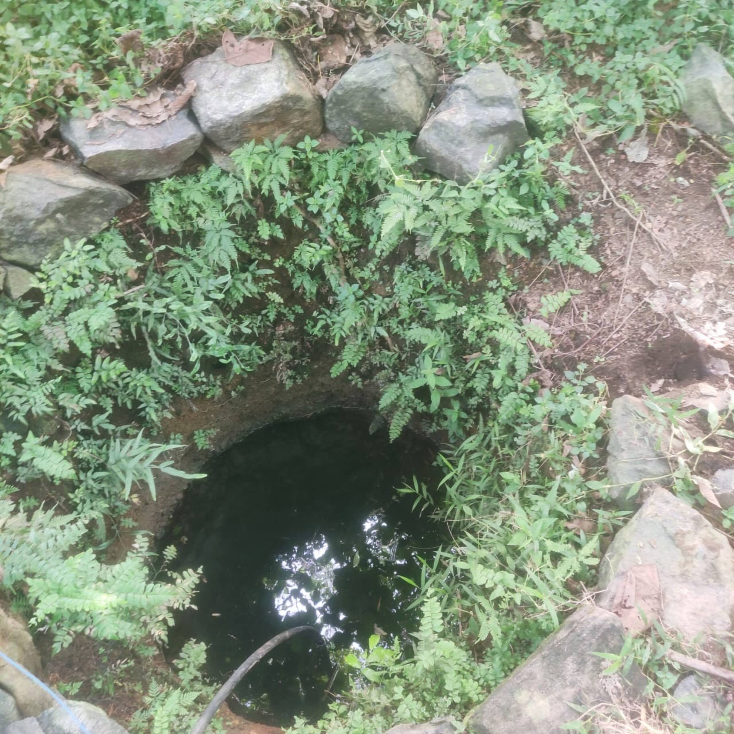 Vasudha Eco Homestay 16