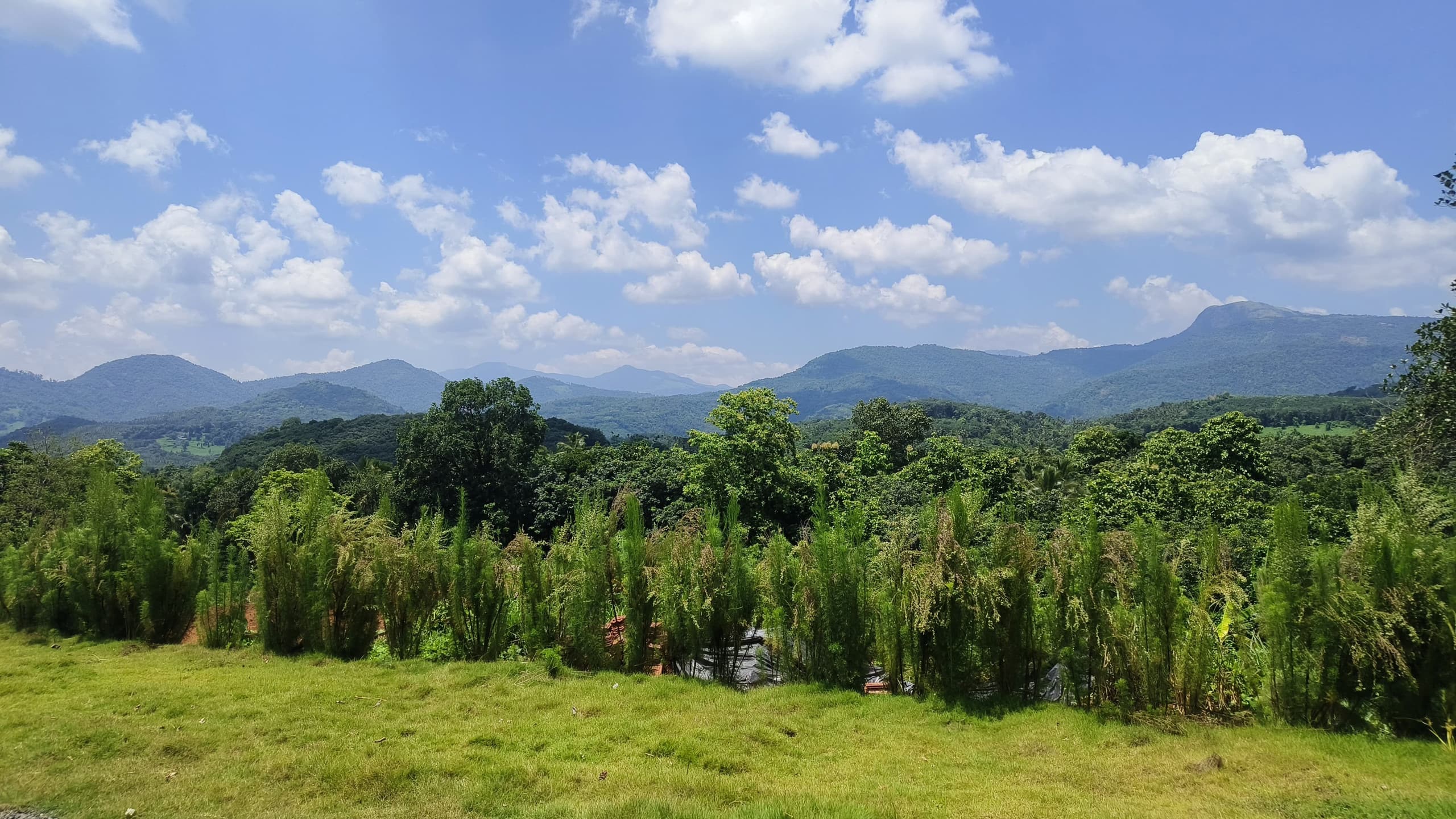 Vasudha Eco Homestay 7