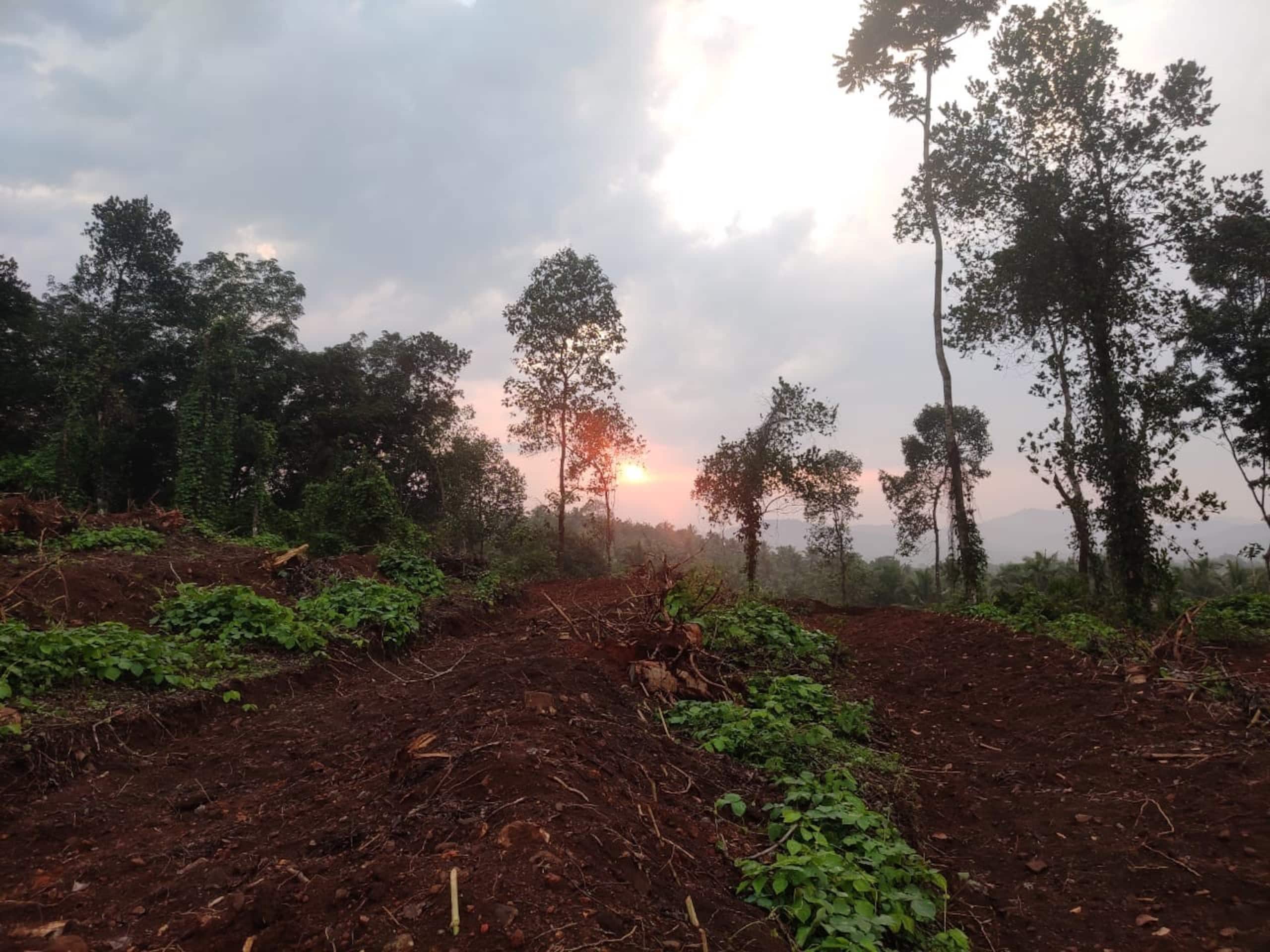 Vasudha Eco Homestay 27