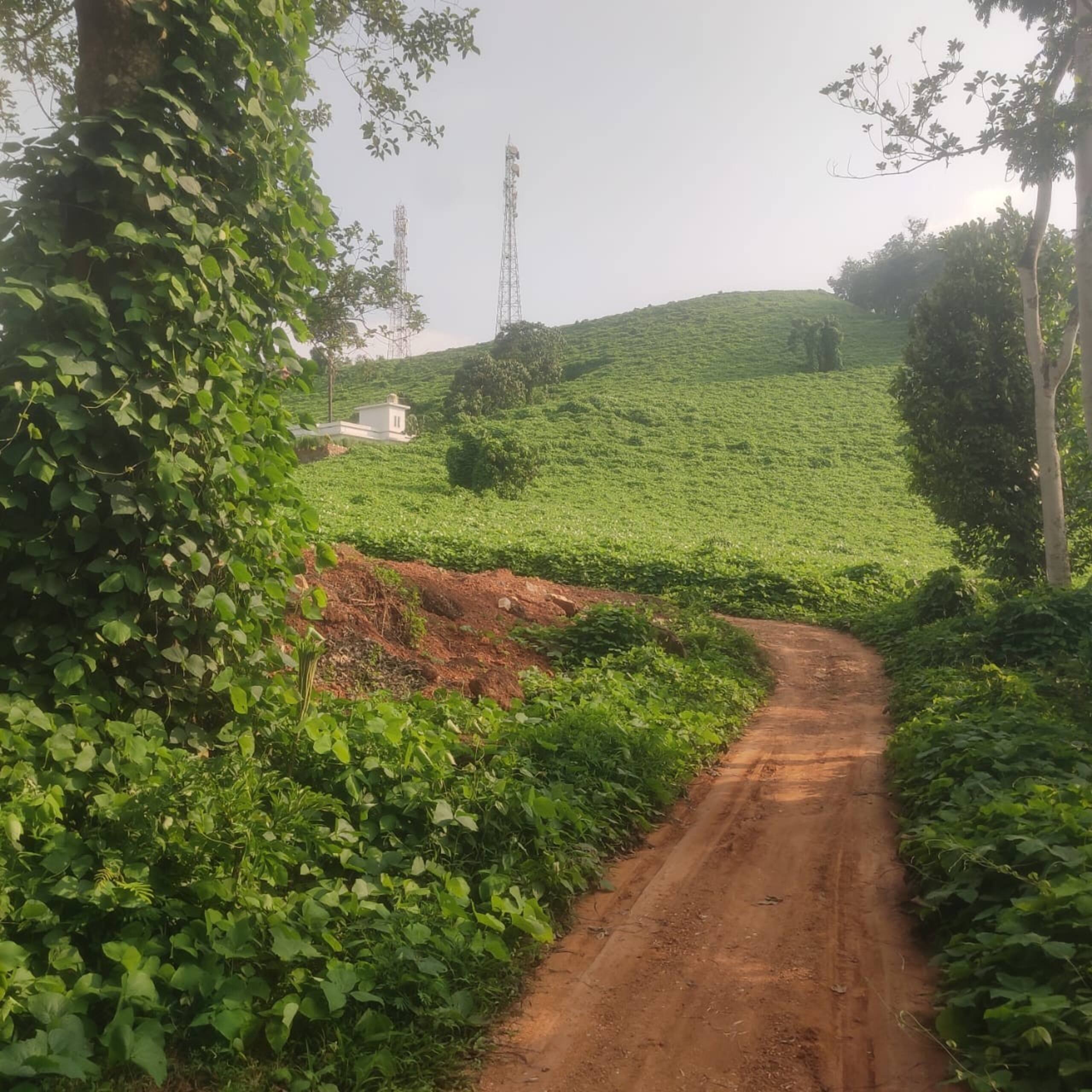 Vasudha Eco Homestay 17