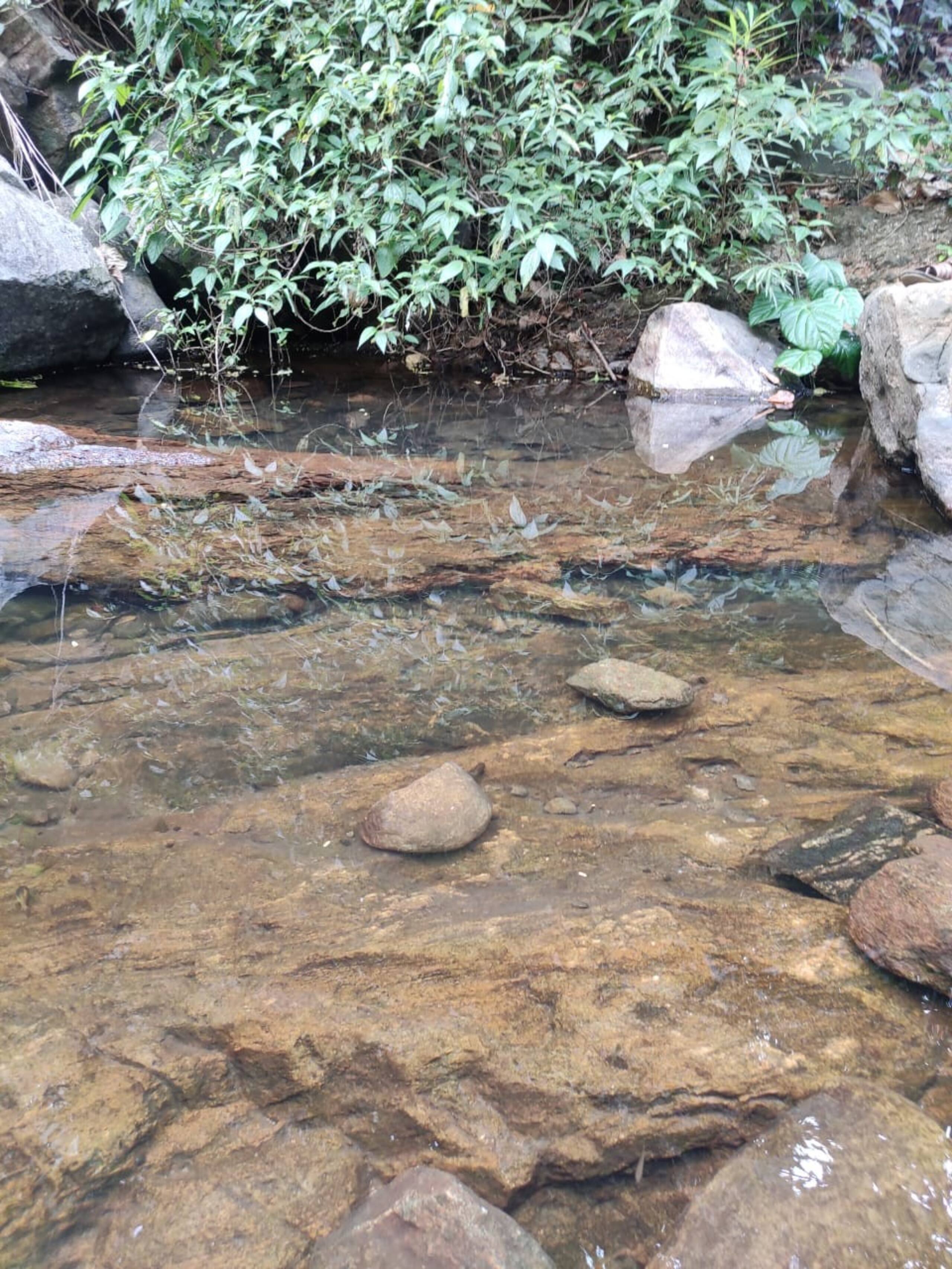 Vasudha Eco Homestay 34