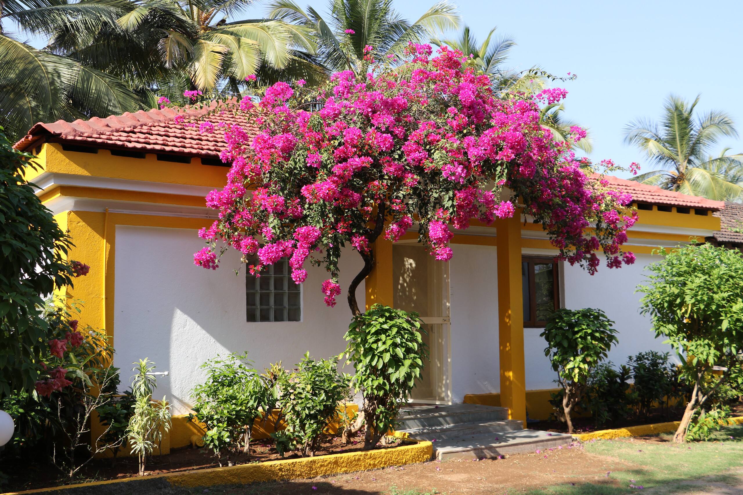 Bungalow 27 — photo 4